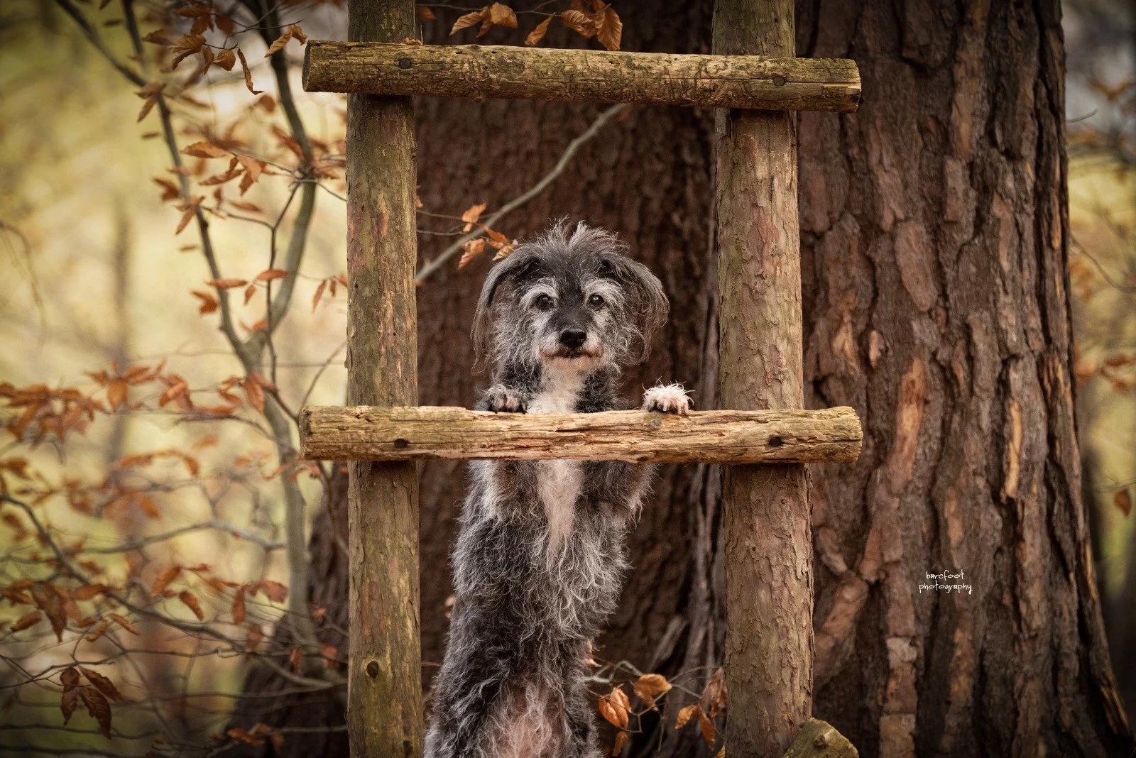 Workshop: Kreativ belohnen