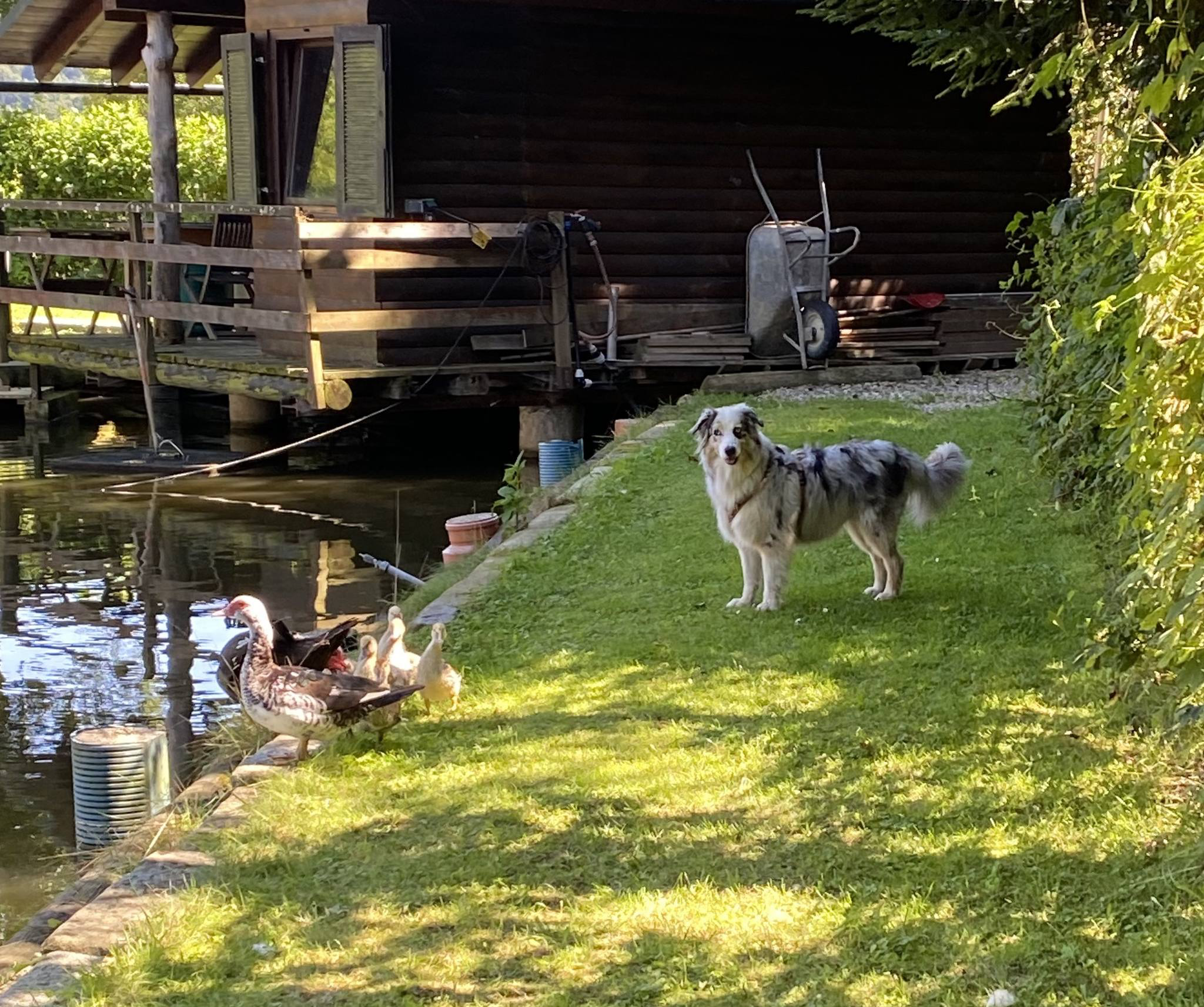 Seminar - Anti-Jagd-Training