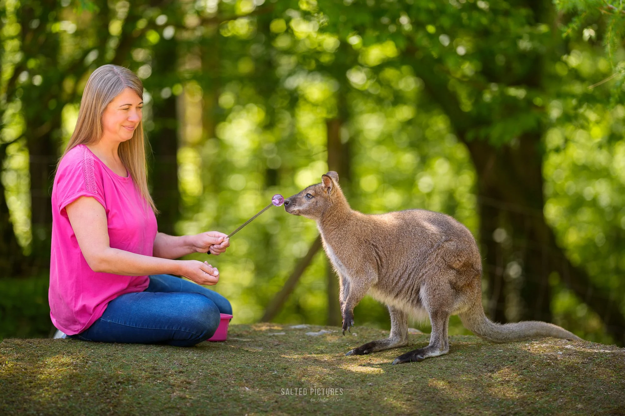 TRAINER FOR A DAY -