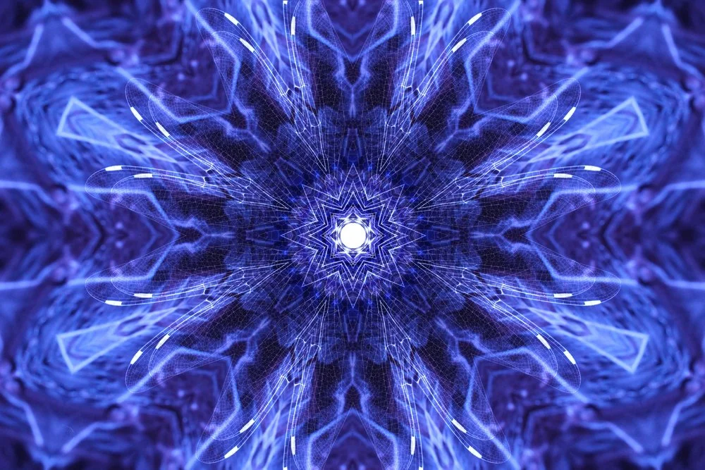 download3.jpg