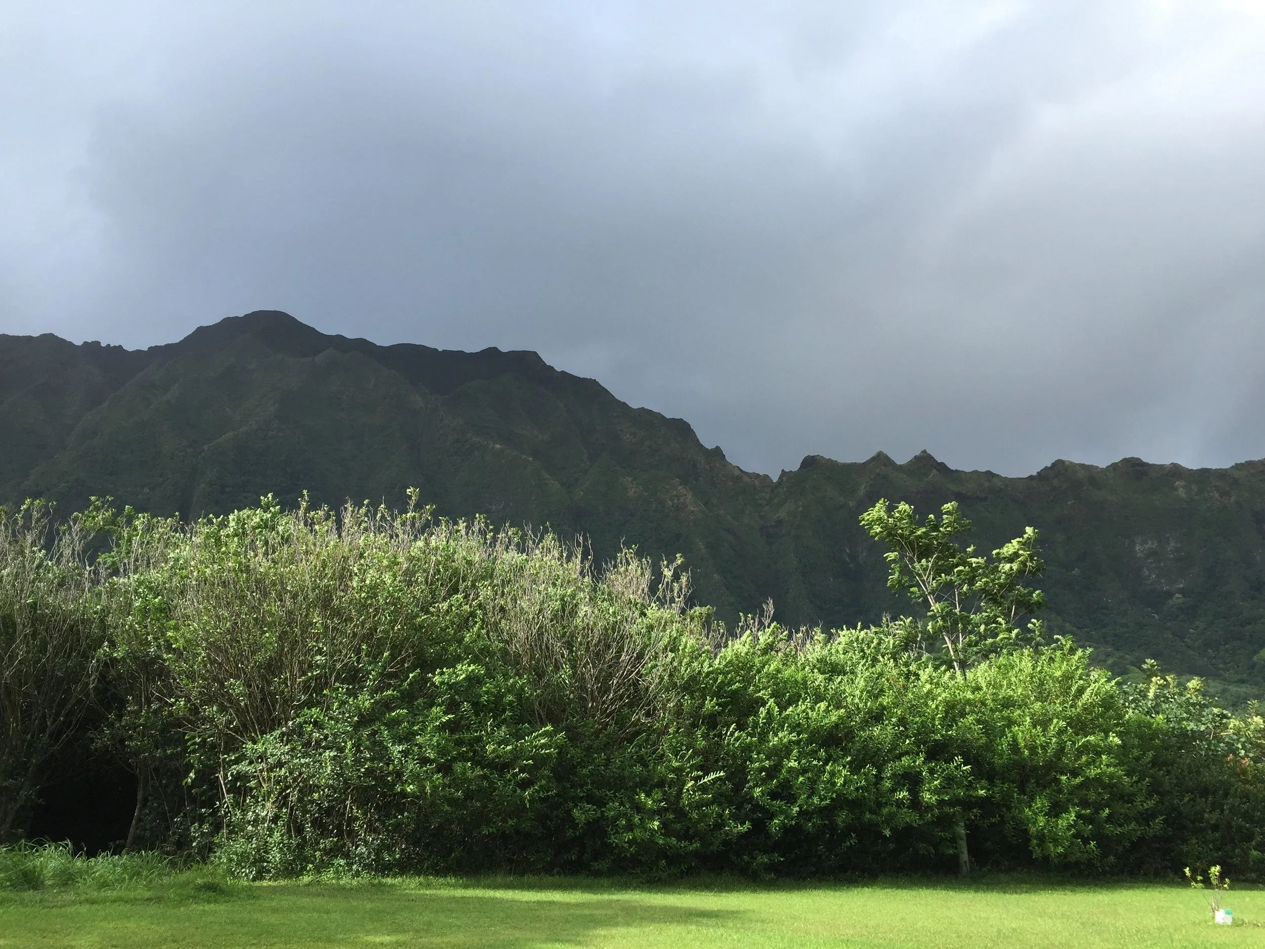 Family Service at Ho'omaluhia