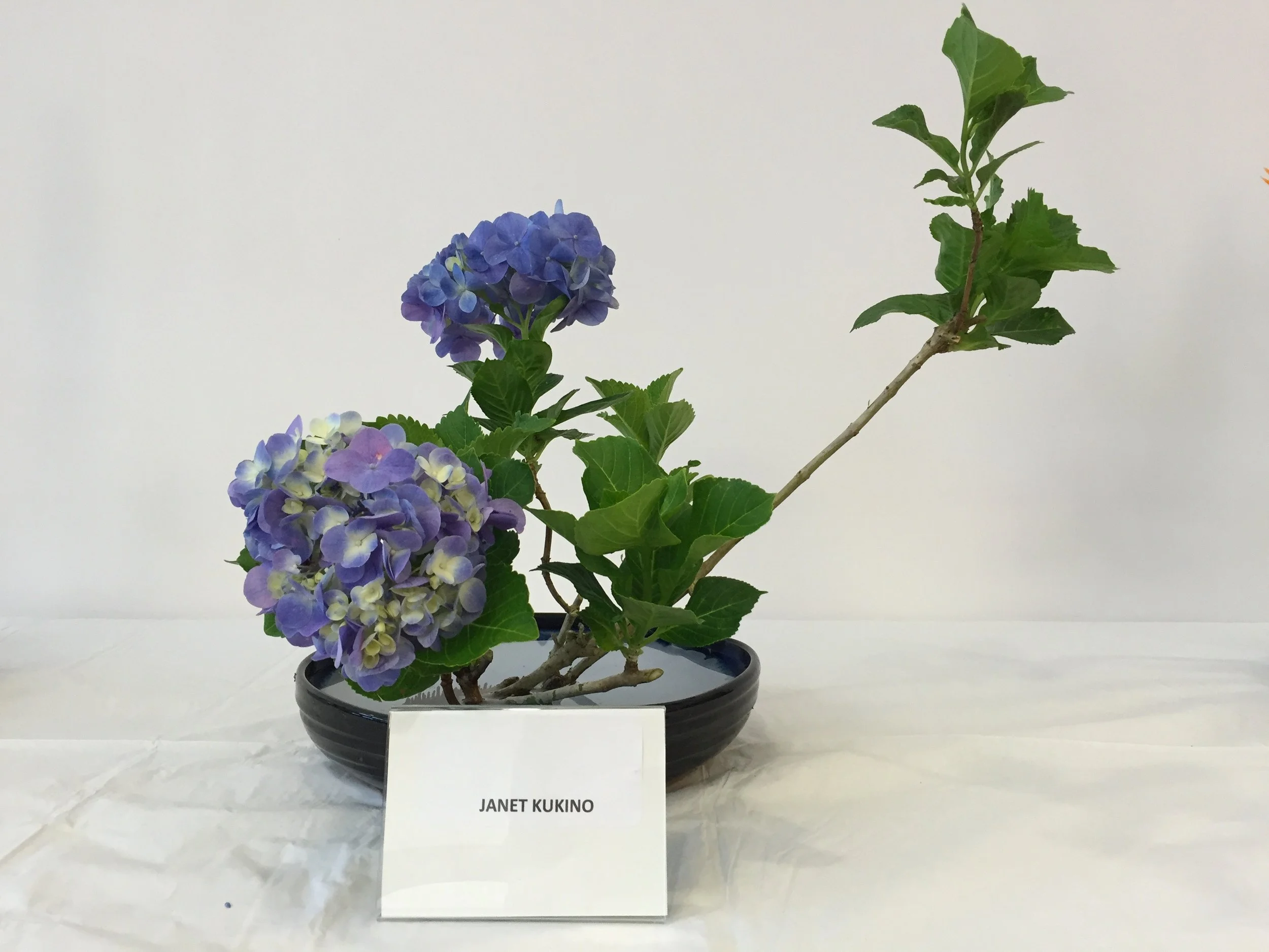 Ikebana Class