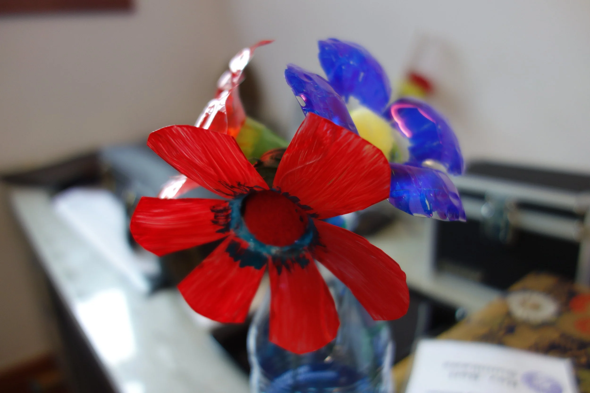 DSC07689.jpg
