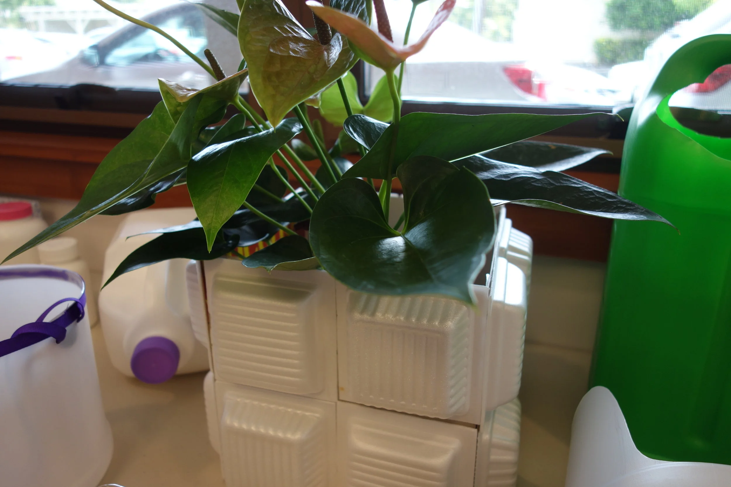 Monthly Remembrance Service & Earth Day