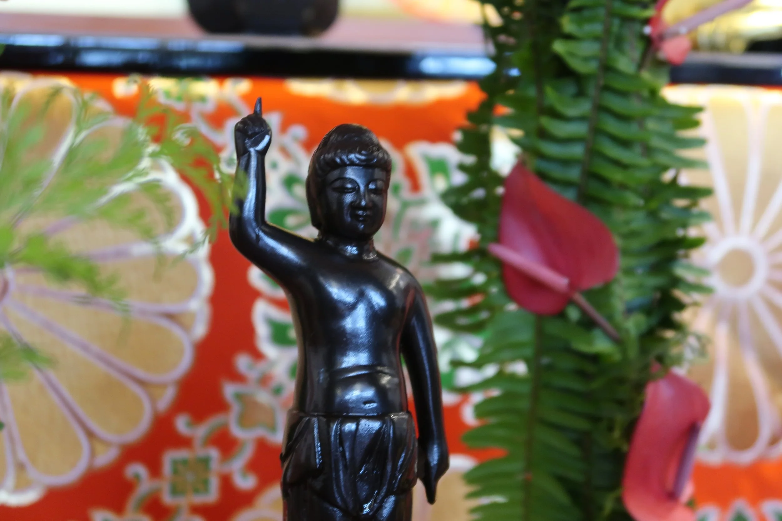 HBC Buddha Day Service (No Service at WBT)