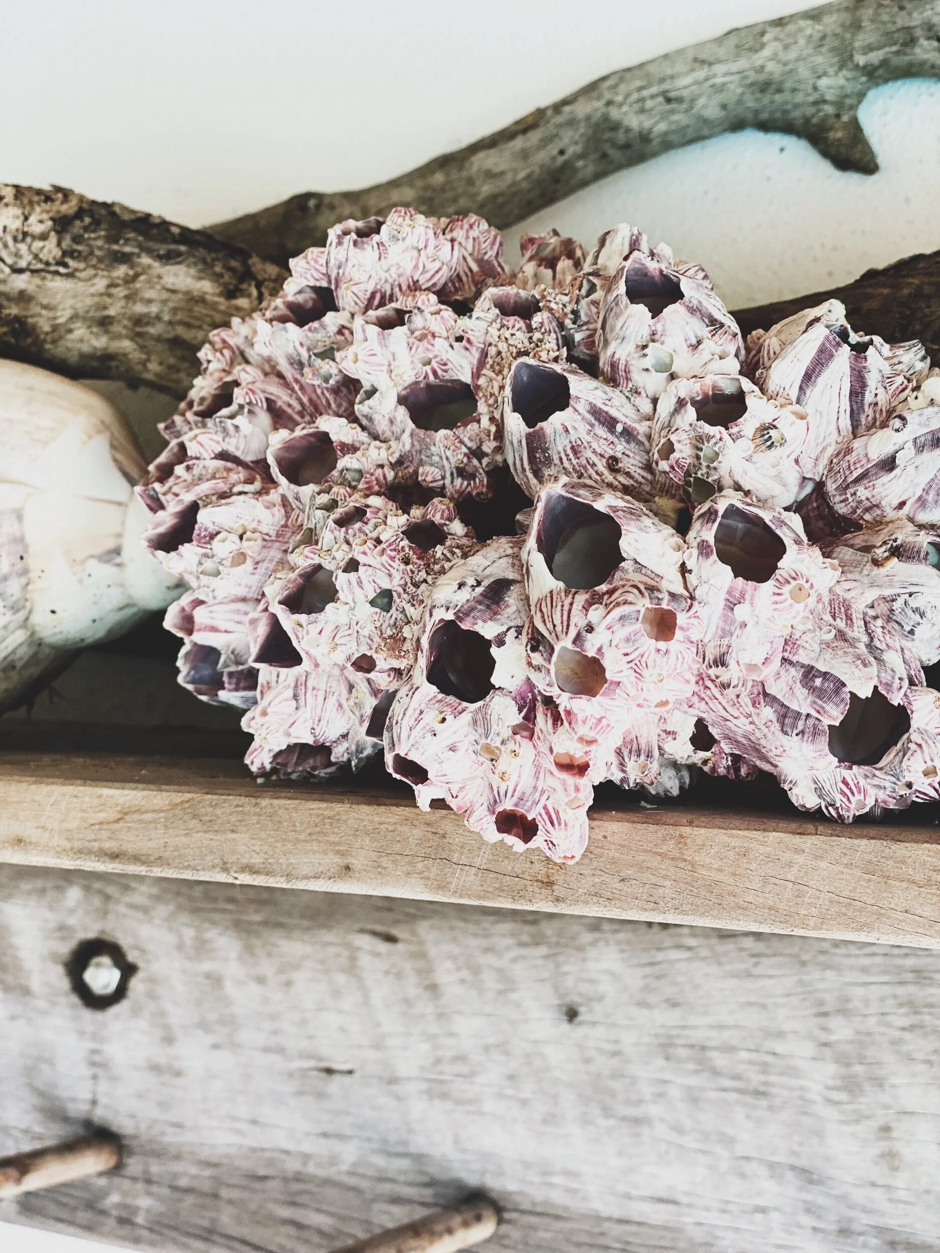 AD1AE0E3-2CBA-4193-9B12-F62C1300F977