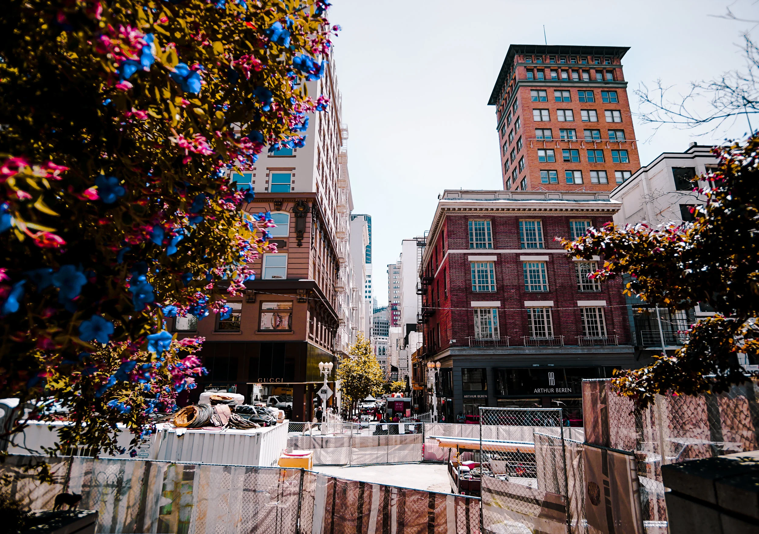 Flowers + Buildings.JPG