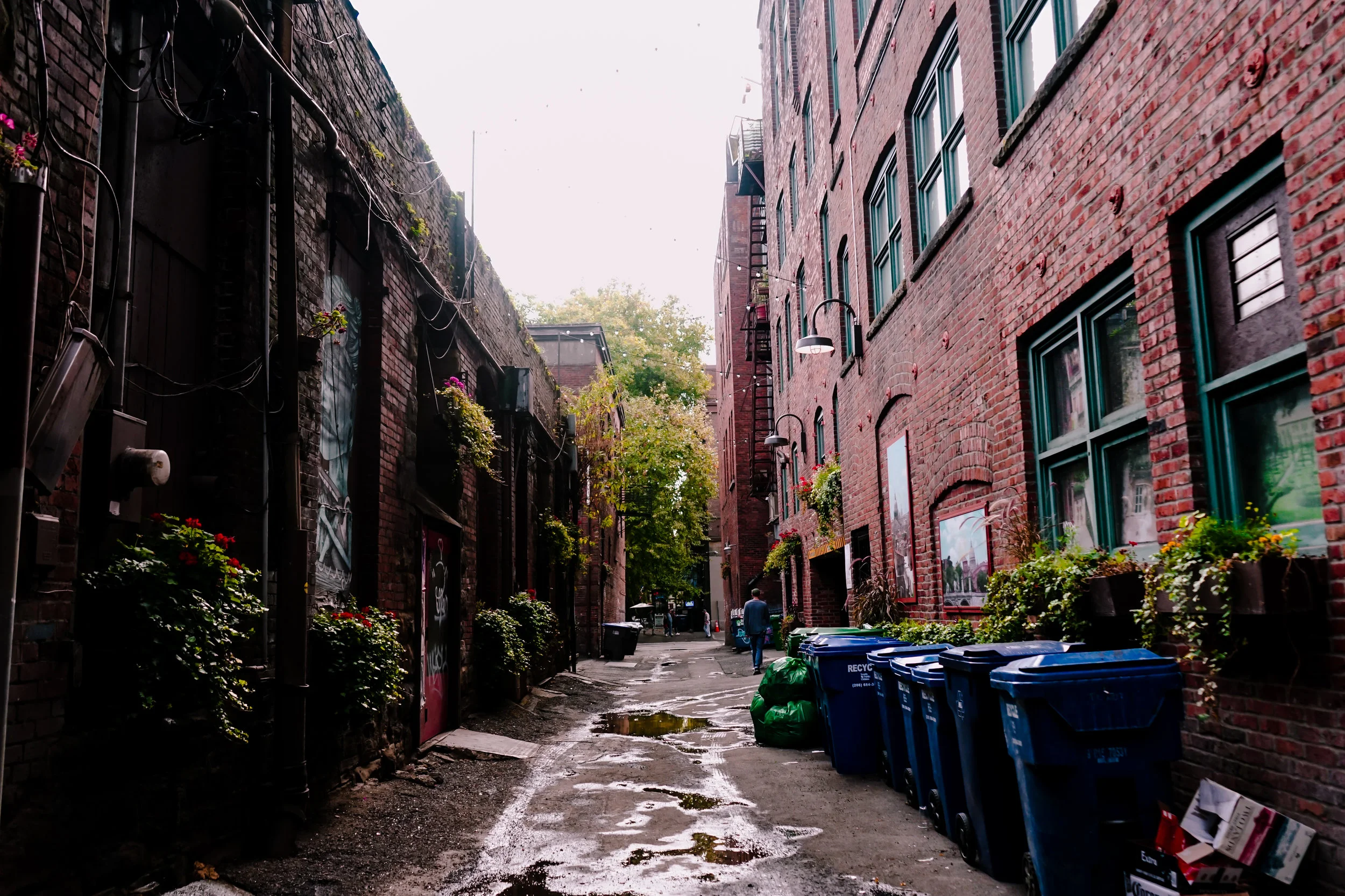 Seattle Alleyway.JPG