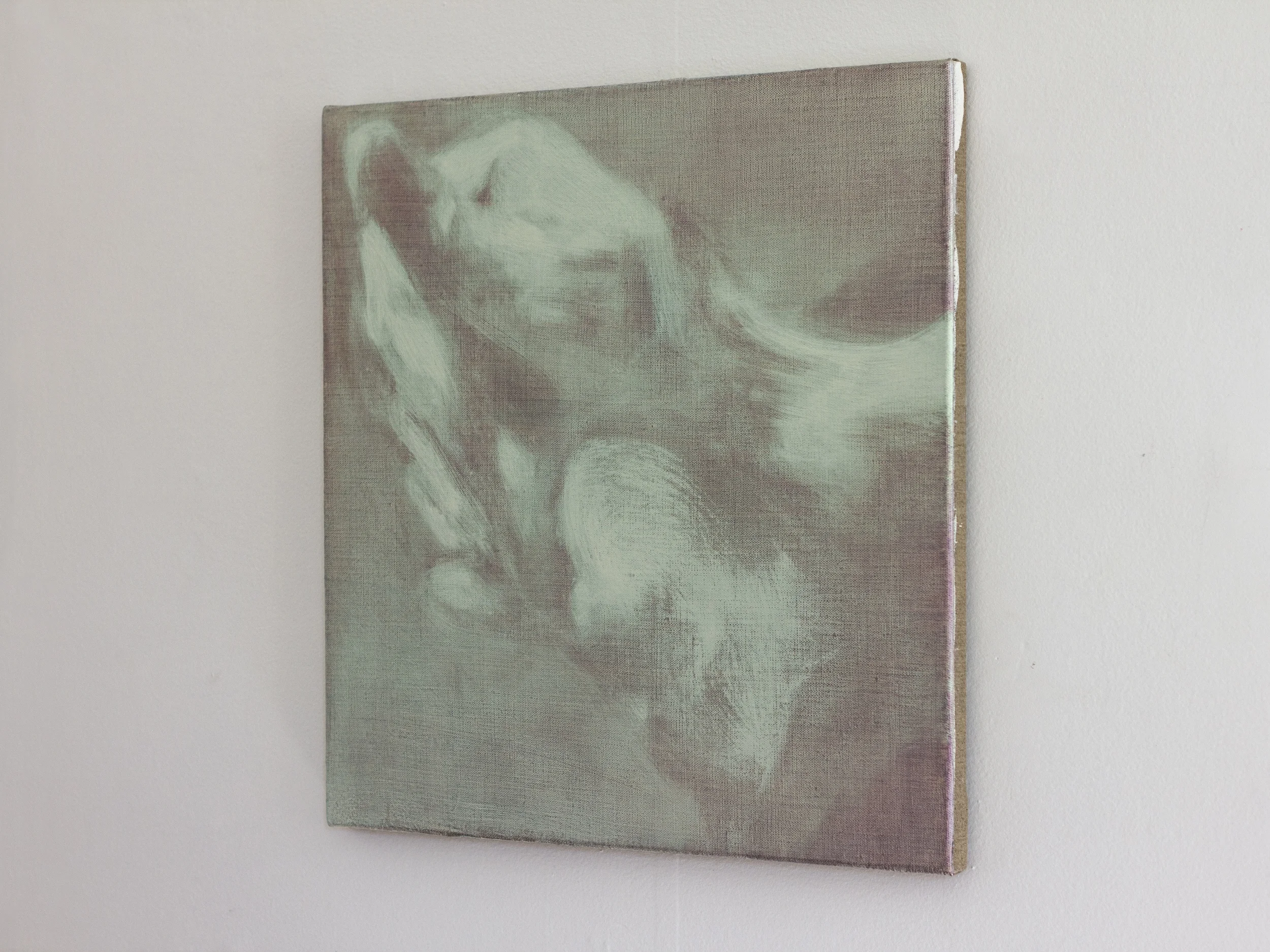 Alibi, oil on linen, 455 x 455mm