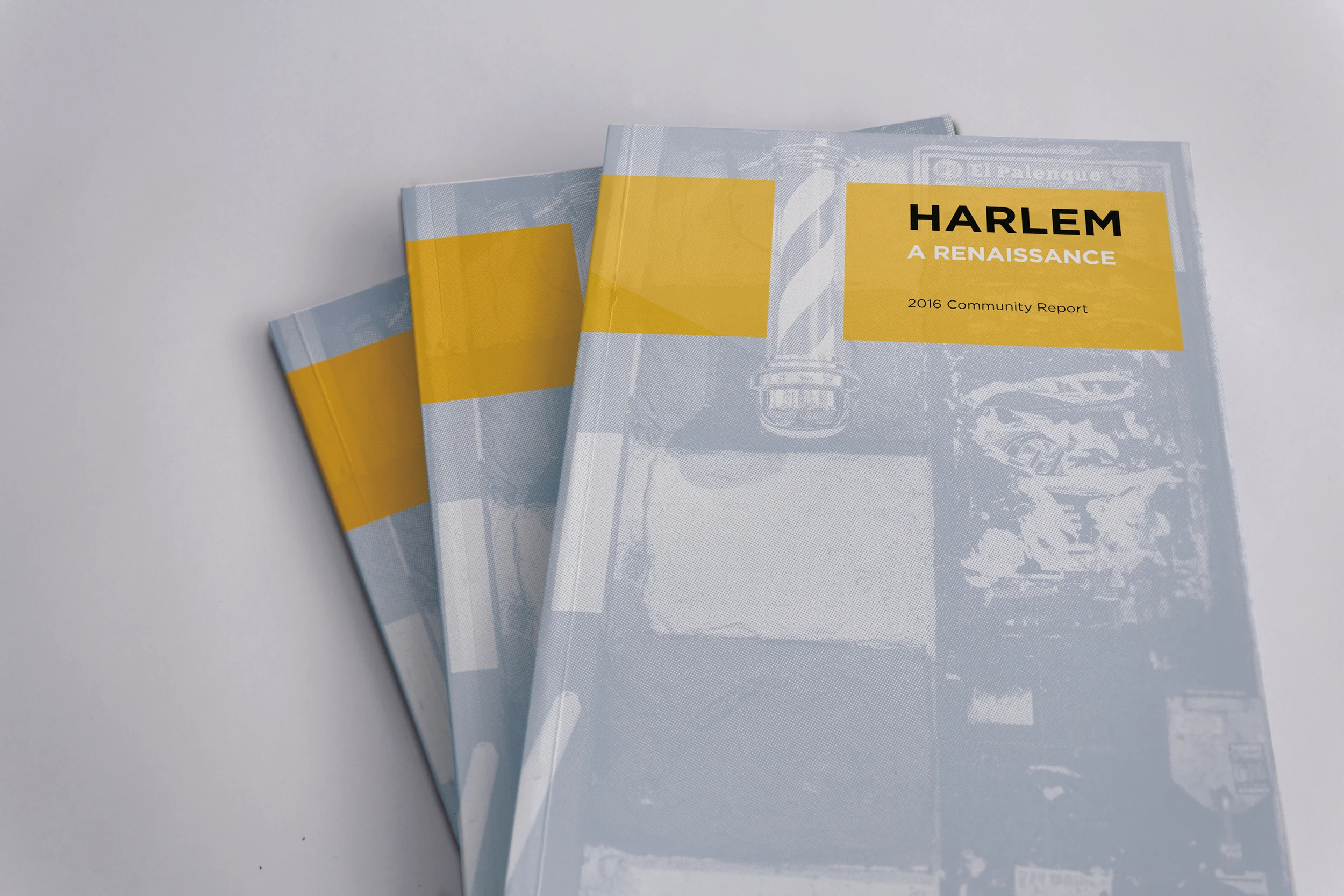 Newsletter cover mockup.jpg