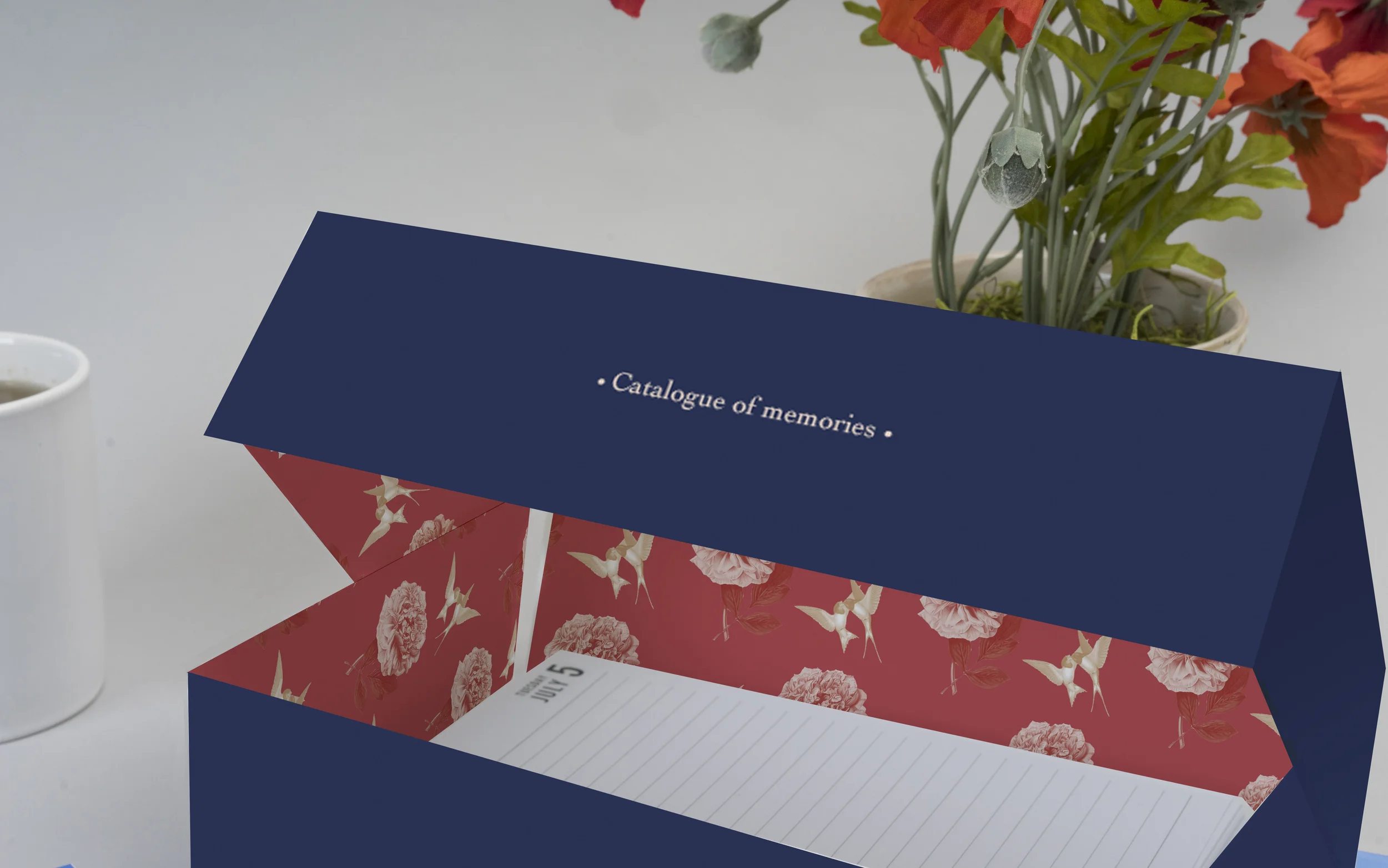 Open box mockup .jpg