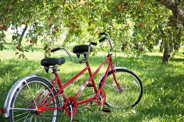 tandem-bike-905067_640.jpg