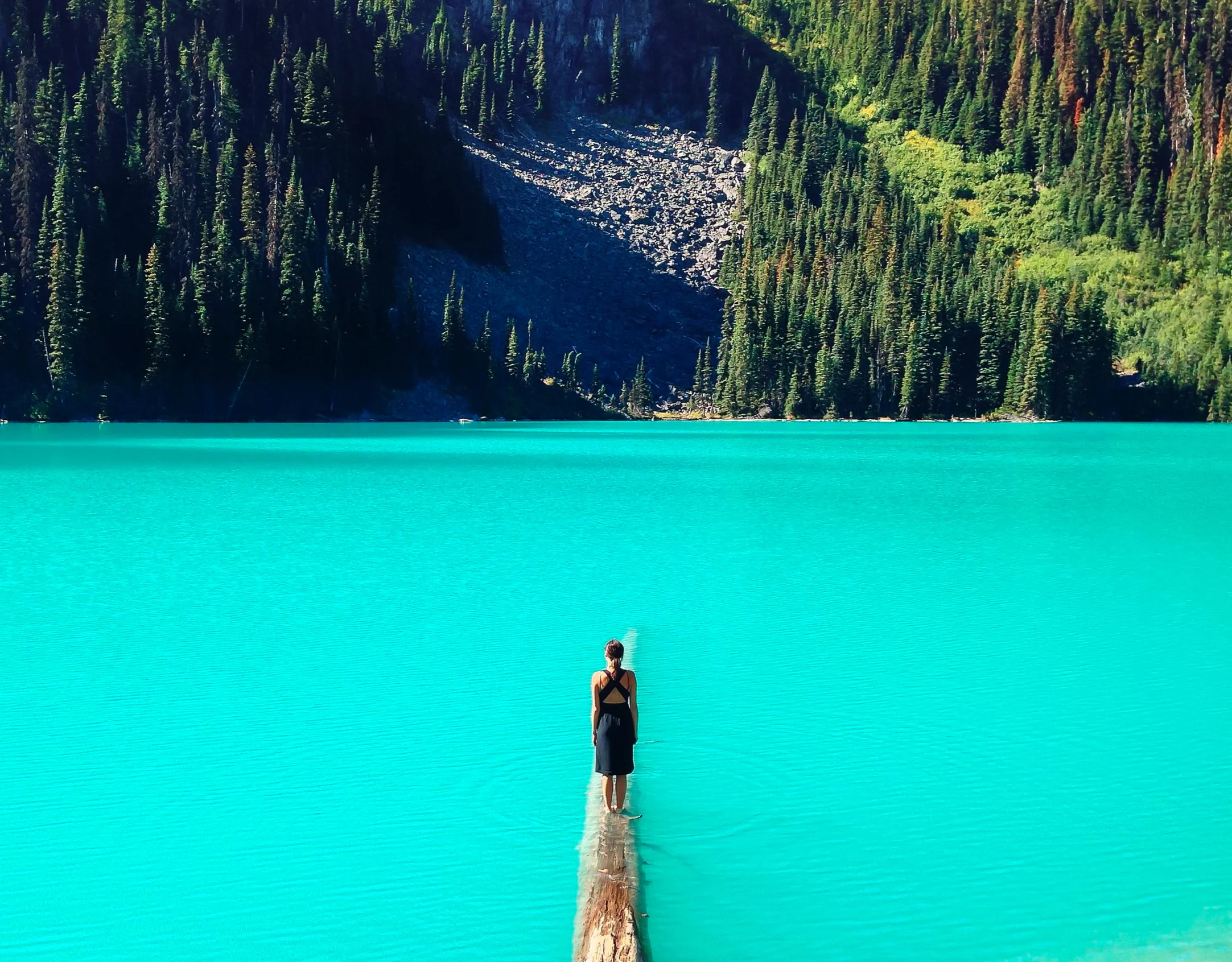 Photo by Bryce Evans on Unsplash