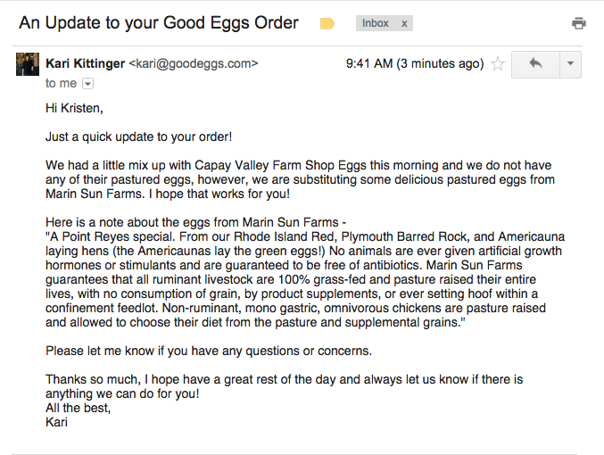 Original plaintext email written manually by customer service