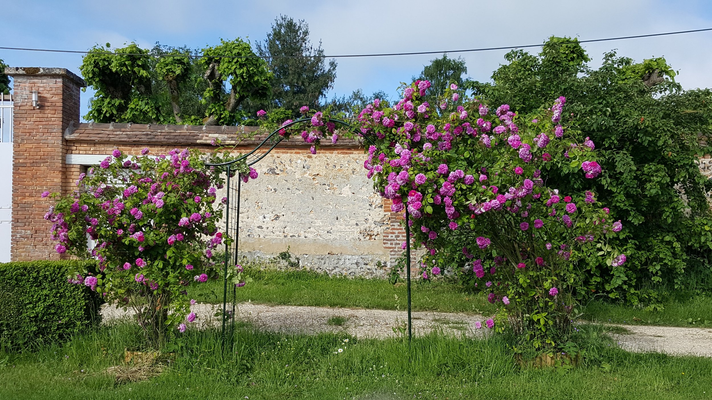 garden__la salle et ses décorations__20170531_091928_resized_1.jpg