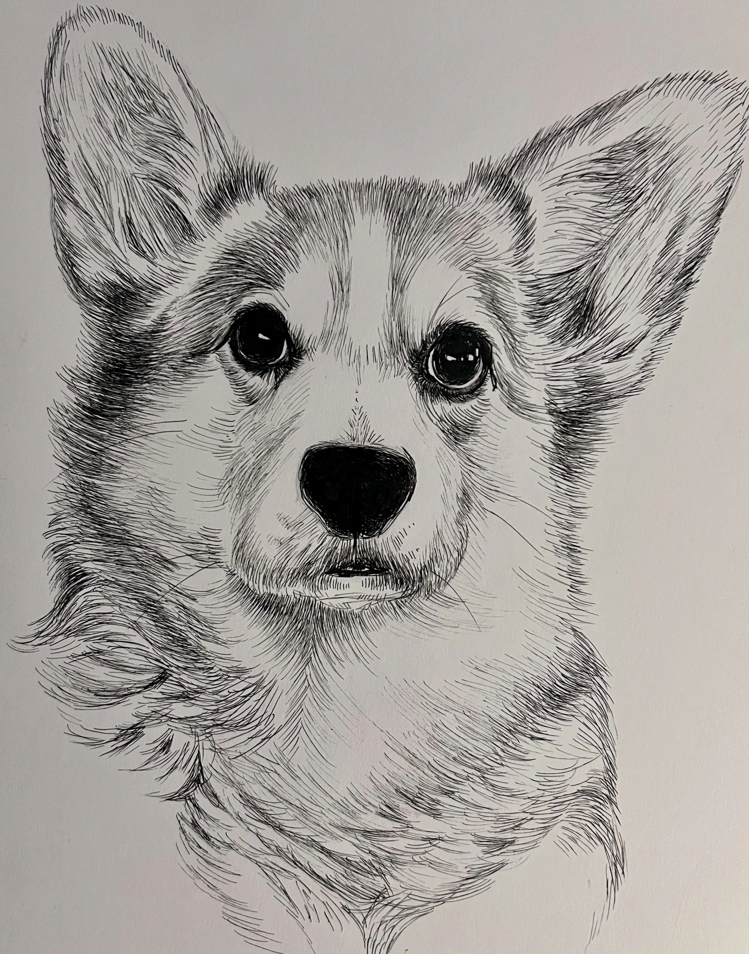 B18E3648-F7FC-4F96-8969-9699867874D1 2.jpg