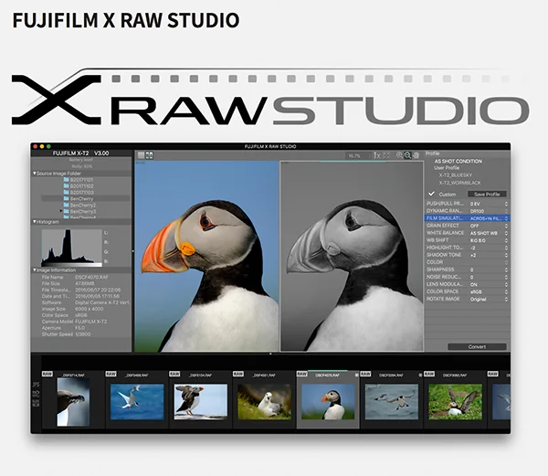 11_xraw_studio.jpg