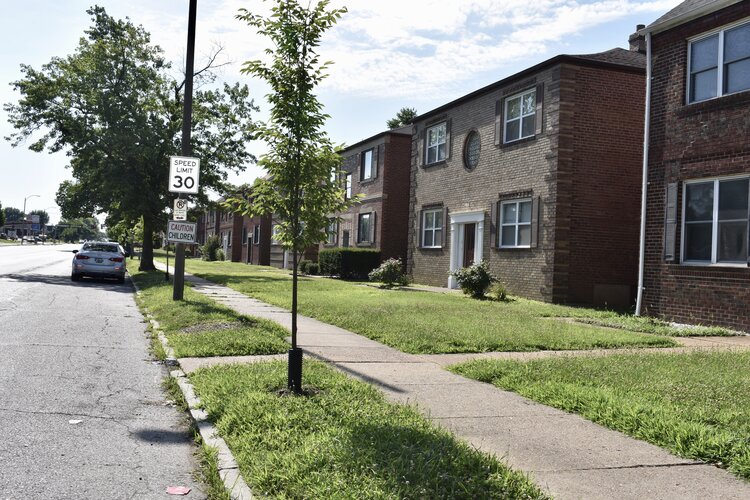 Rows and rows of little to no front-scaping along Chippewa