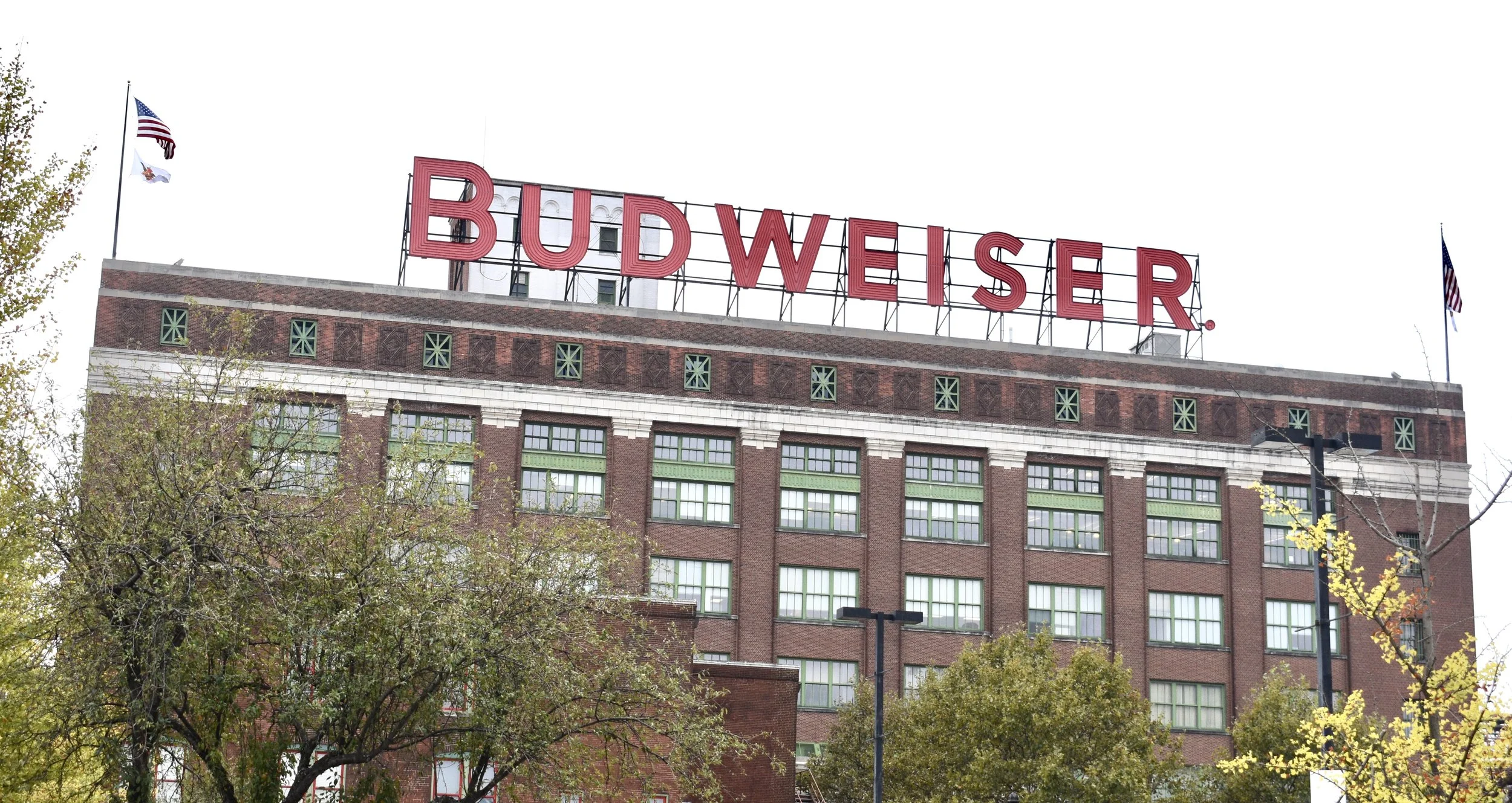 The Soulard Neighborhood
