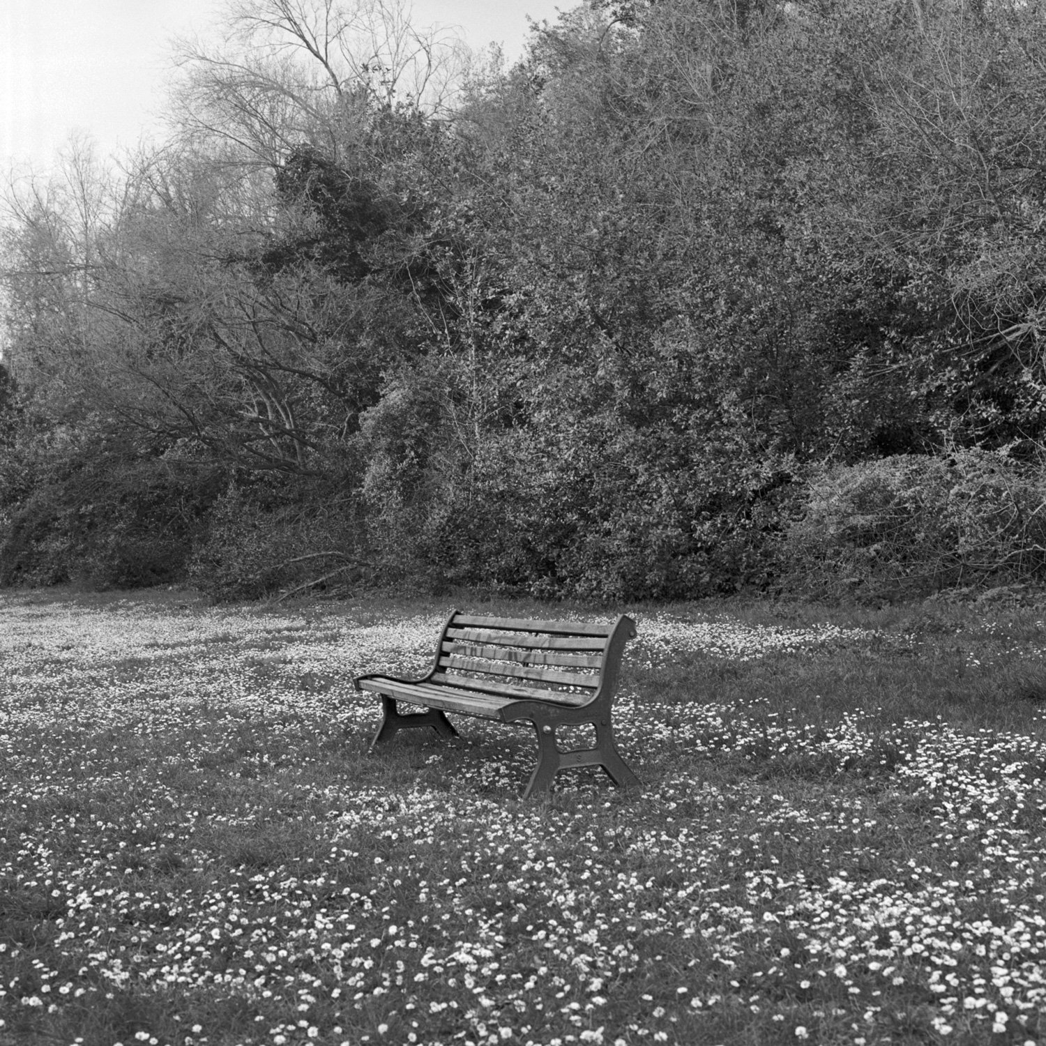 villa_pamphili_38_0325_03.jpg