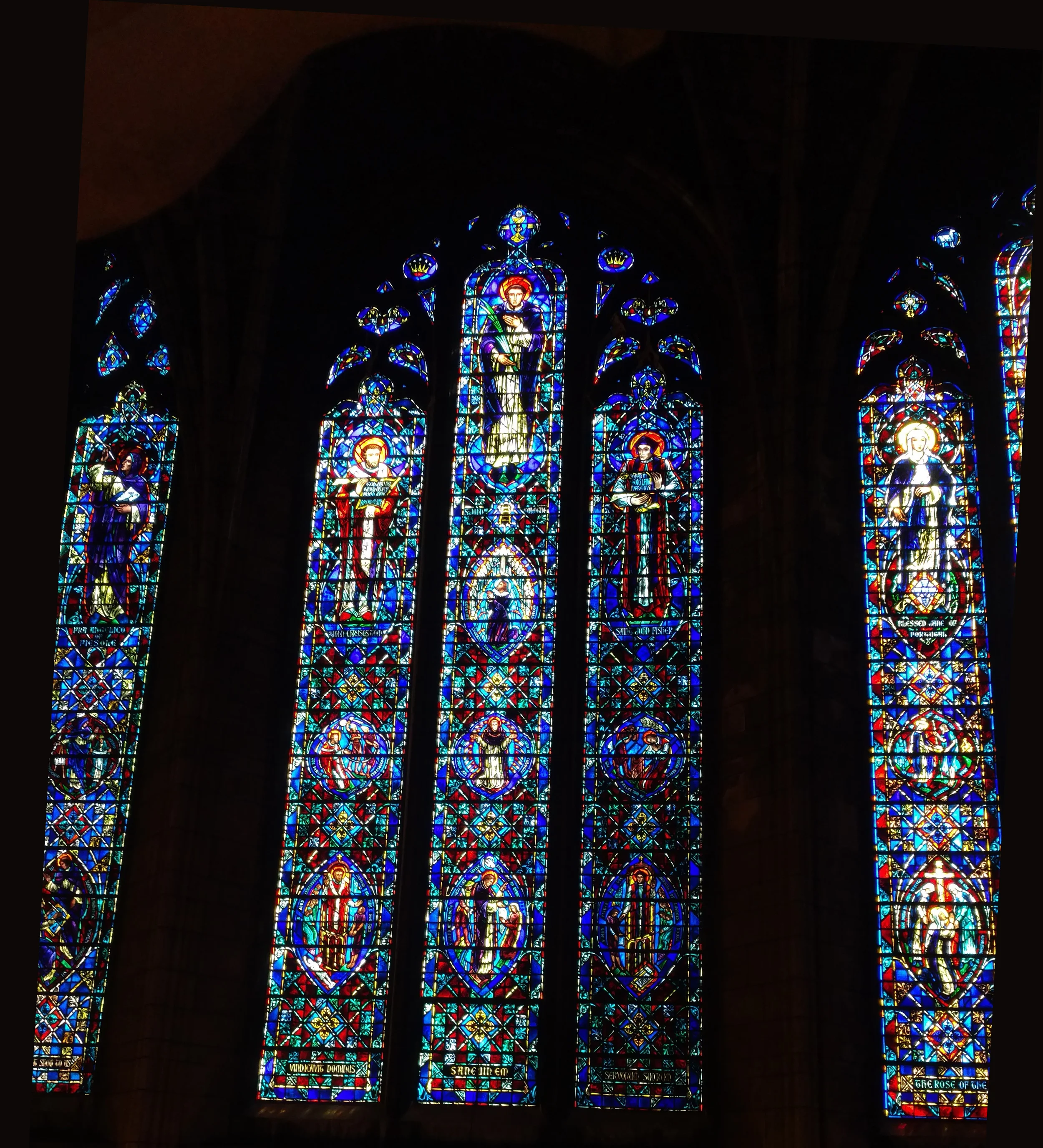 mark-bani_window(1).jpg