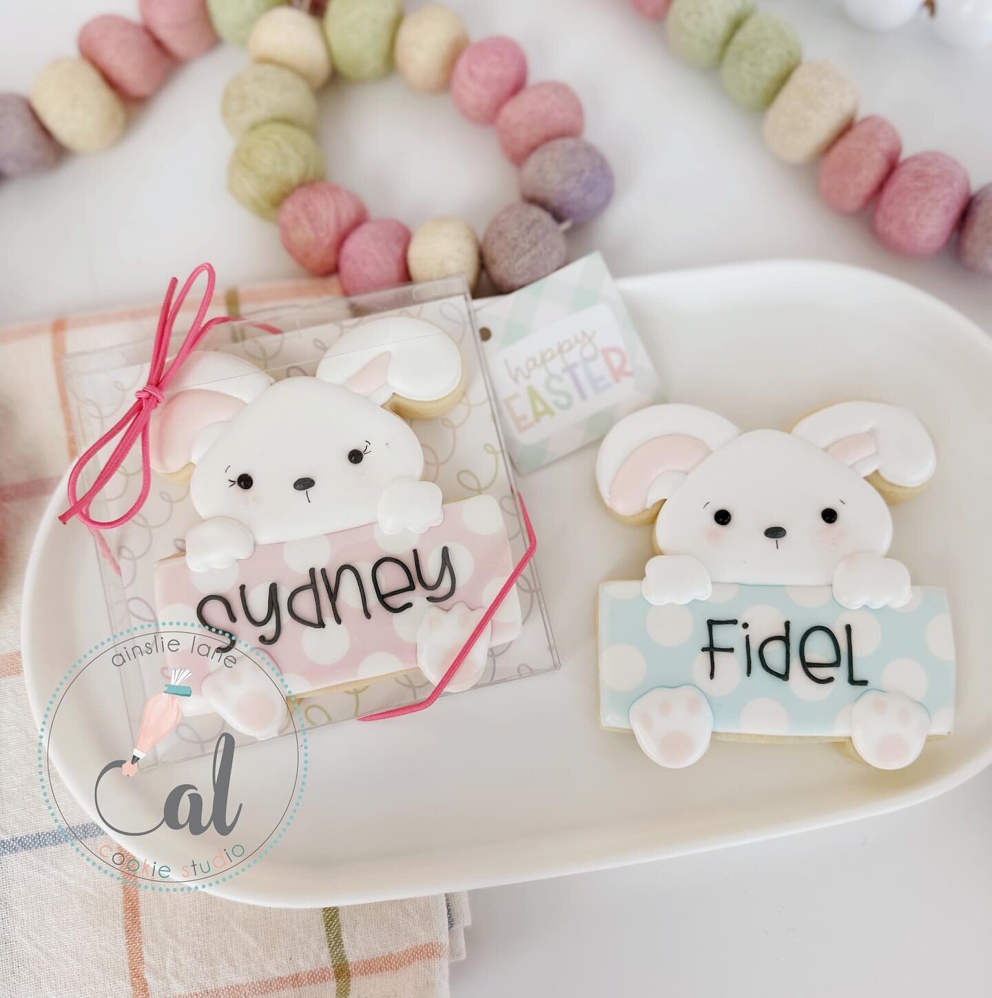 Easter Preorders are live! Hop 🐰 on over to the website to place your orders 🥚 
&bull;
&bull;
&bull;
&bull; #eastercookies #bunnycookies #ainslielanecookiestudio #sugarcookiemarketing #decoratedcookies #decoratedsugarcookies #personalizedcookies 
@