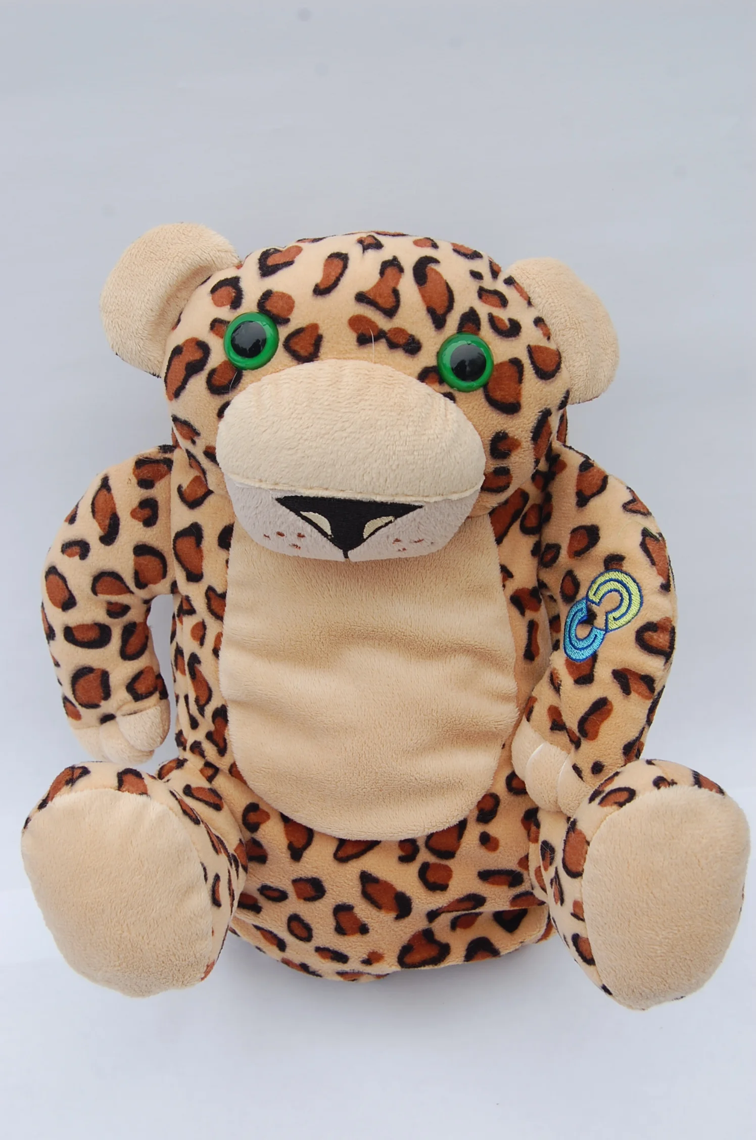 Iggy for website.JPG