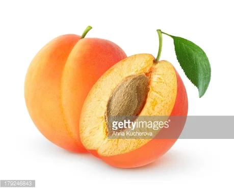 APRICOT