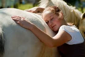 Equine EMDR.jpg