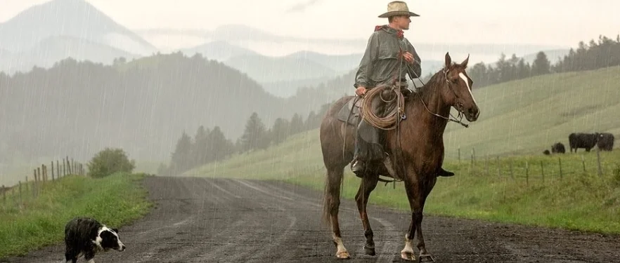 Montana Cowboy and Dog.jpg