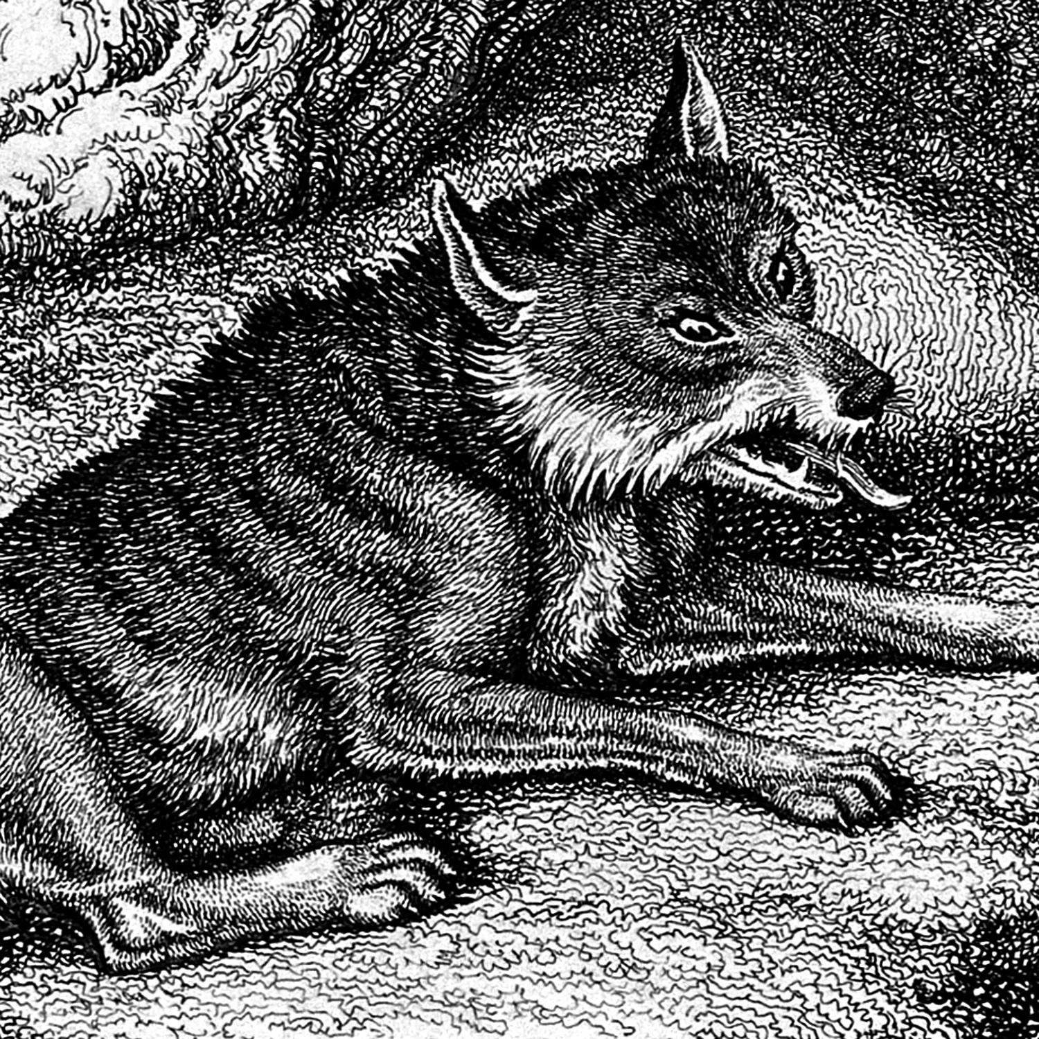 wolves_thumb_1500sq.jpg
