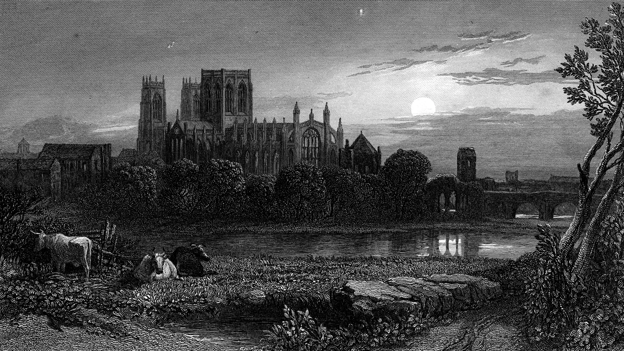 Chopin in the Moonlight