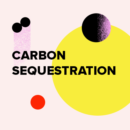 CarbonSequestration.png