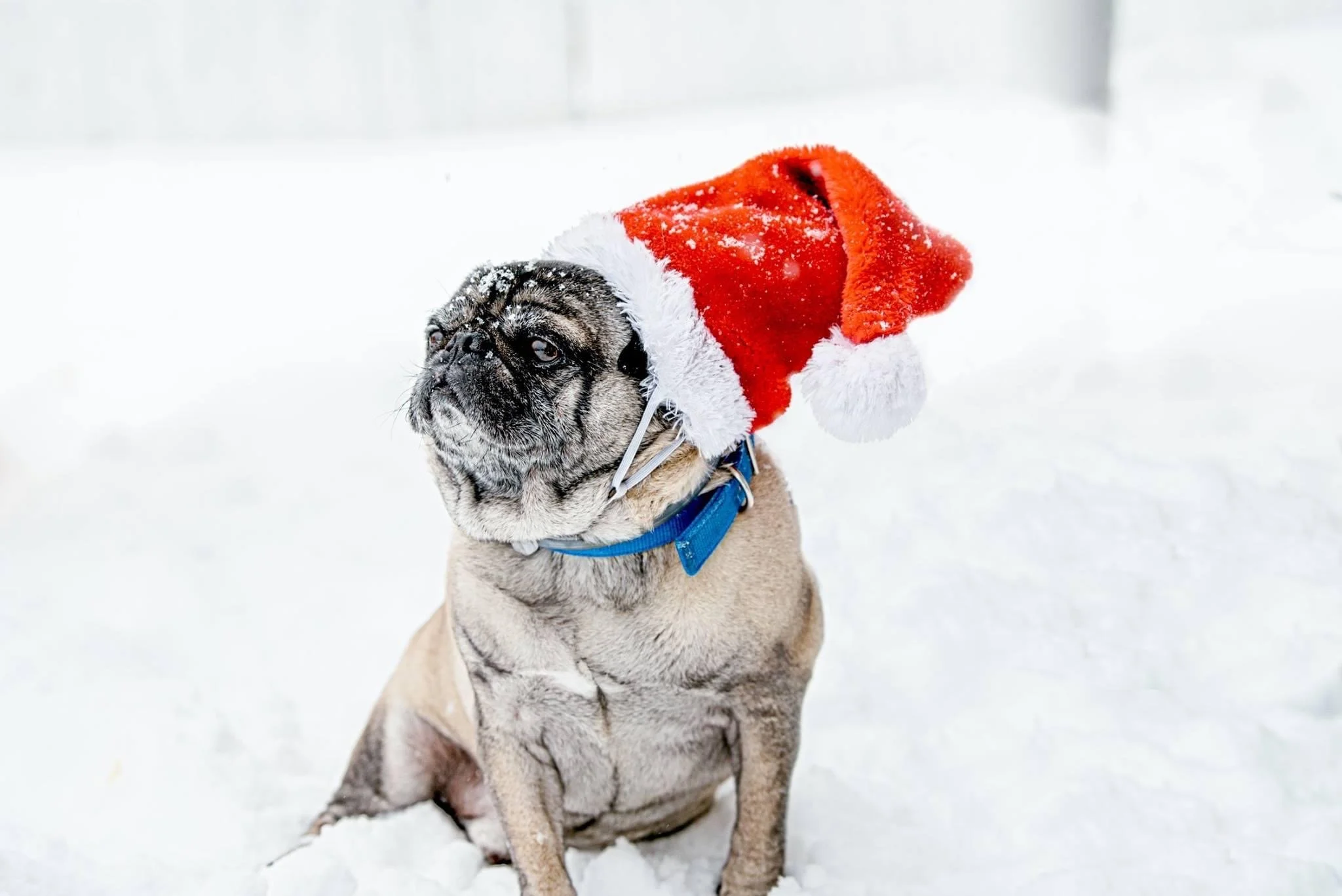 Personal Post | Buddy