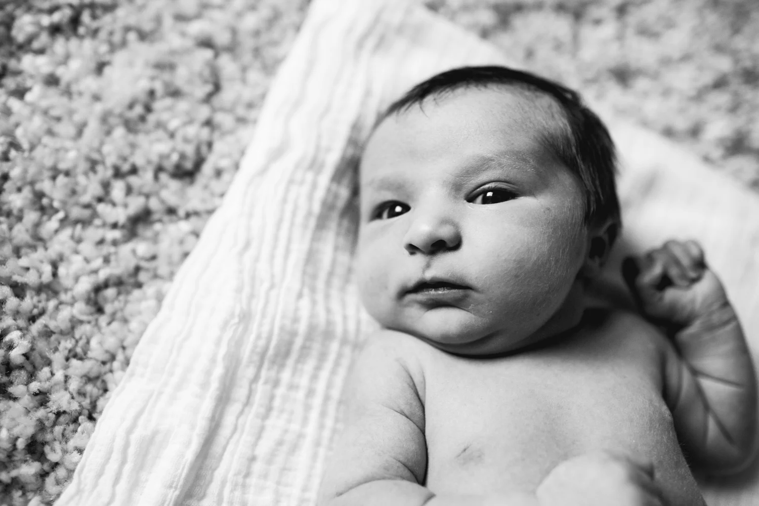 Indianapolis Newborn Photographer Kidd-1286.jpg