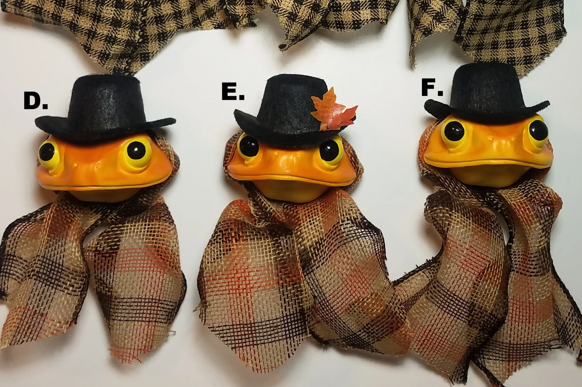 FestiveFrogs2k18-25.jpg