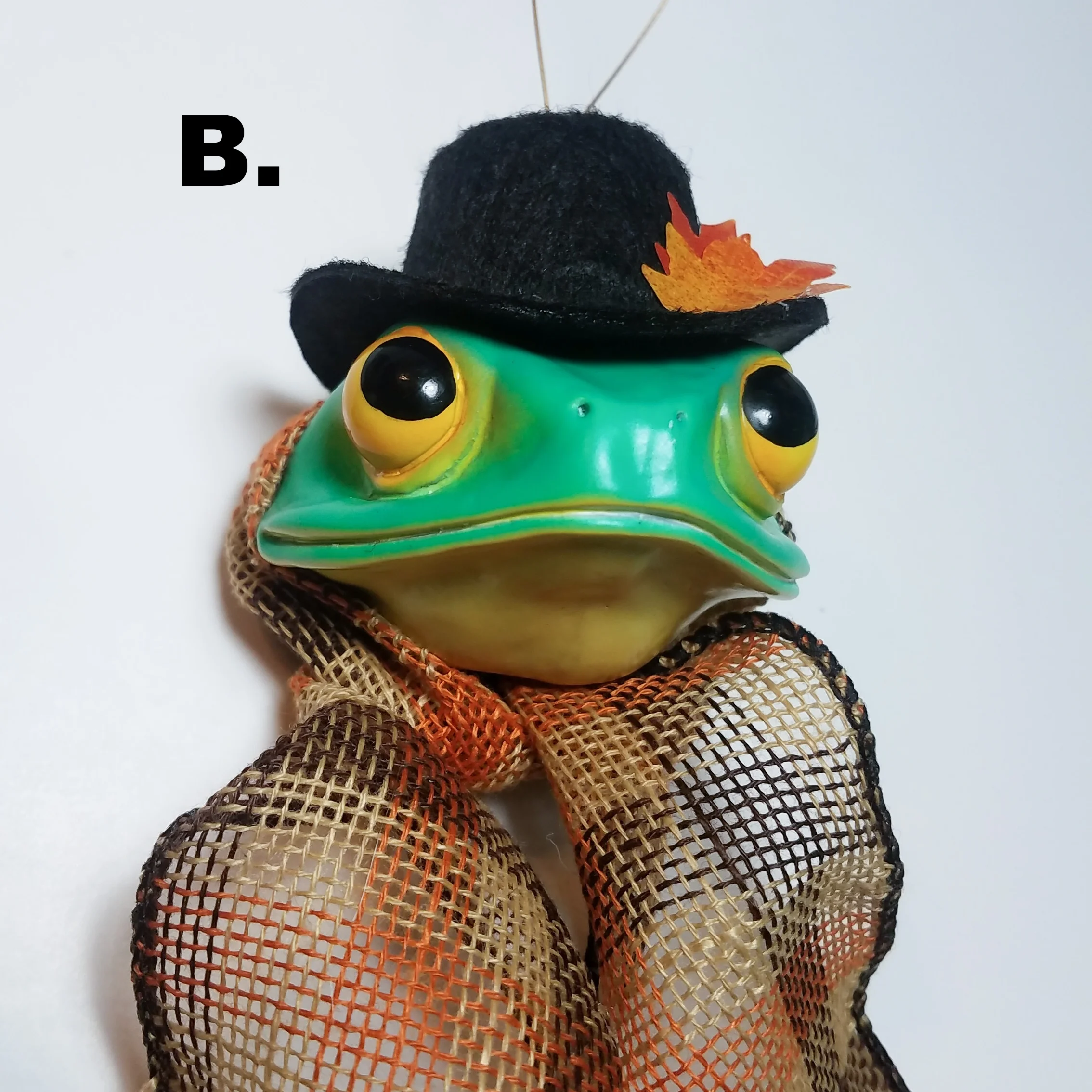 FestiveFrogs2k18-24.jpg