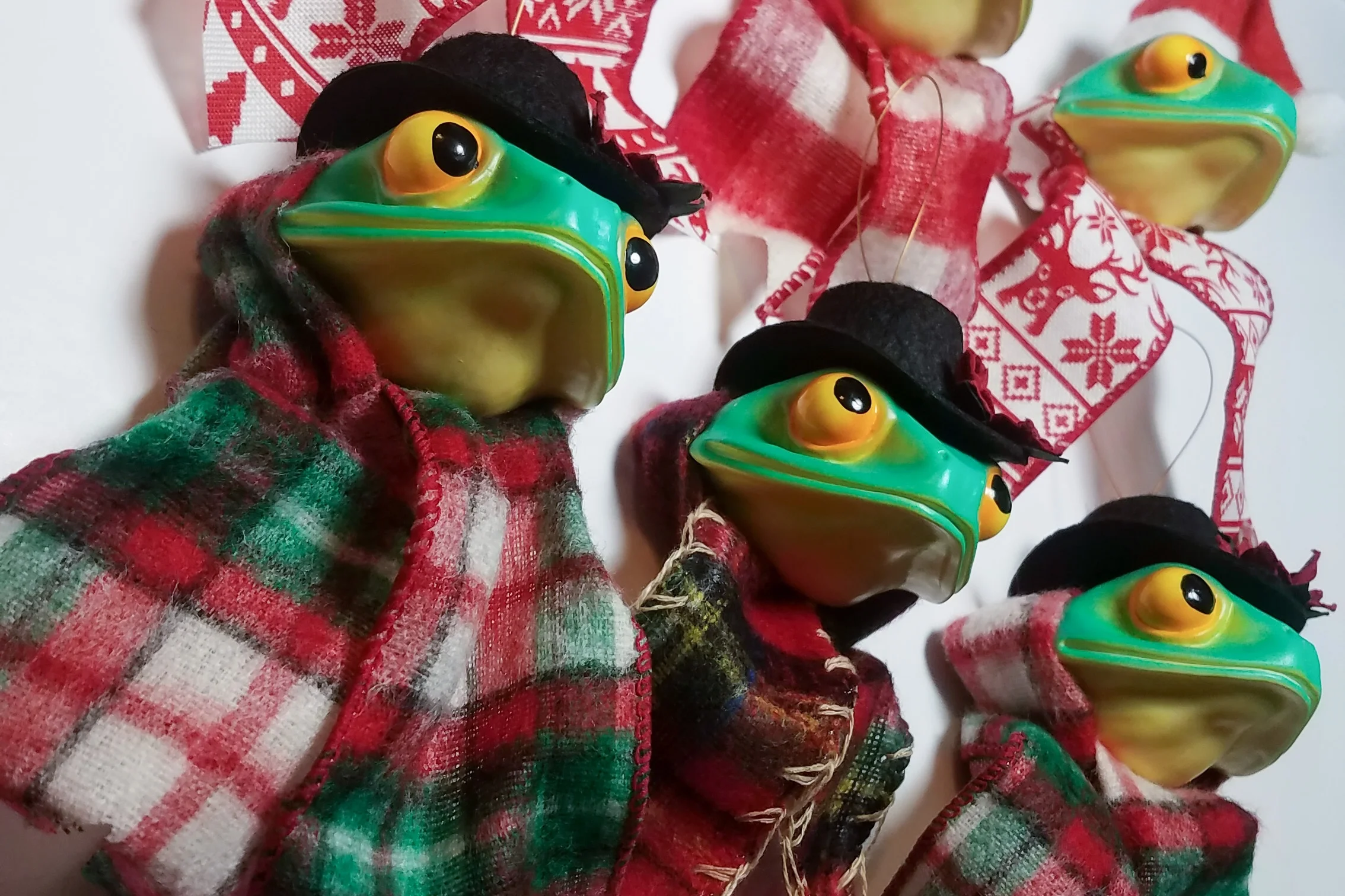 FestiveFrogs2k18-20.jpg