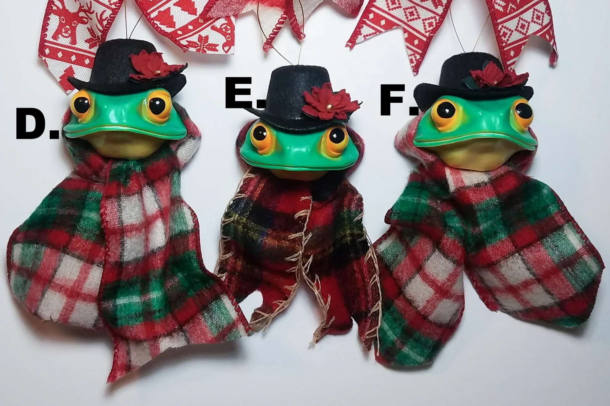 FestiveFrogs2k18-9.jpg