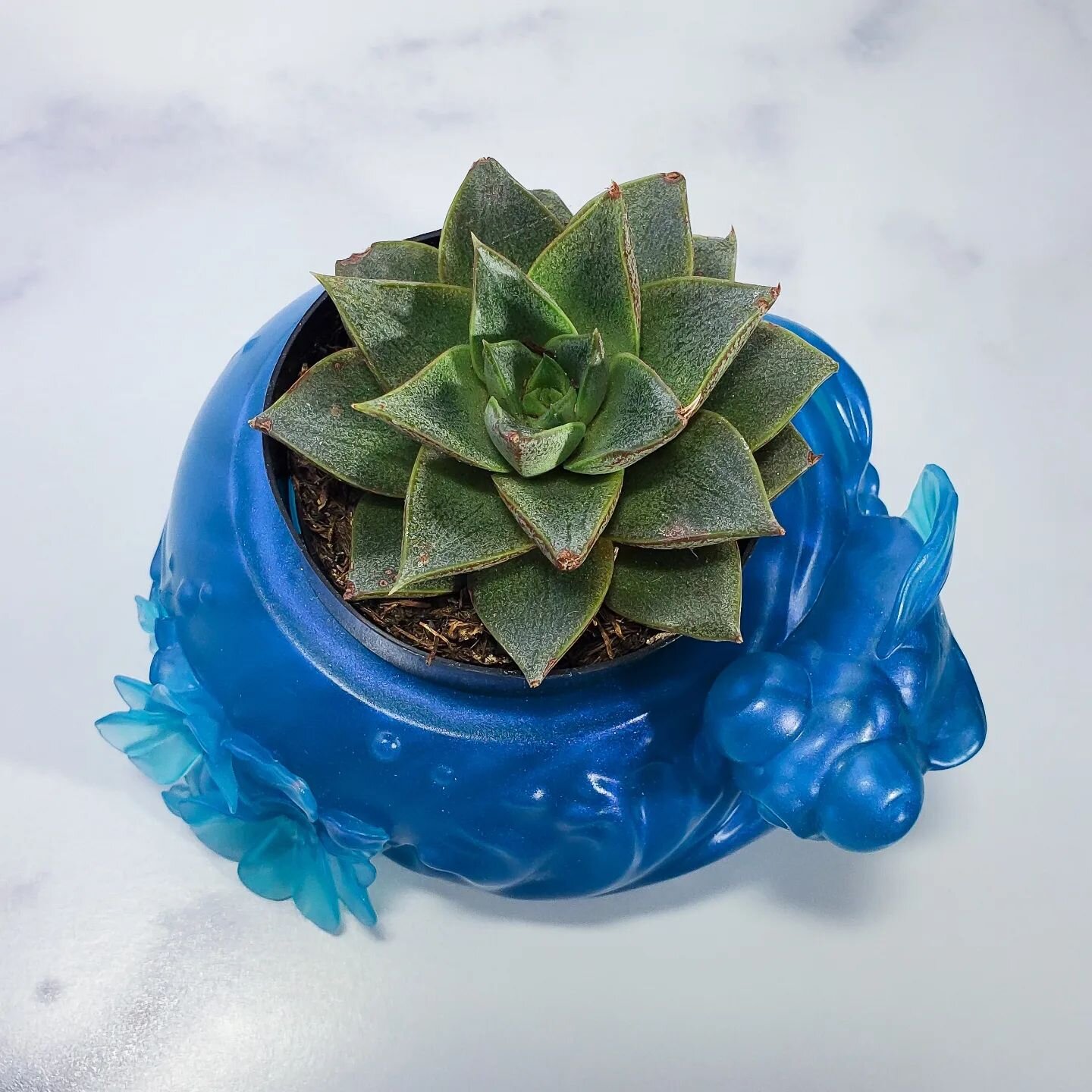 Editing lots of photos and doing some website updates this weekend~ 

This blue clear cast 'Go With The Flow' resin planter is already sold to Aaron @martian_toys 👋 BUT I may cast a few more up! 
Liking this color a lot 🌊🐟🌵

#resin #smoothon #cas