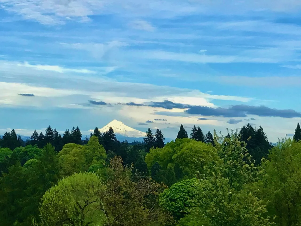 2022_Apr_26_Mt_Hood_seen_from_RCP.jpeg