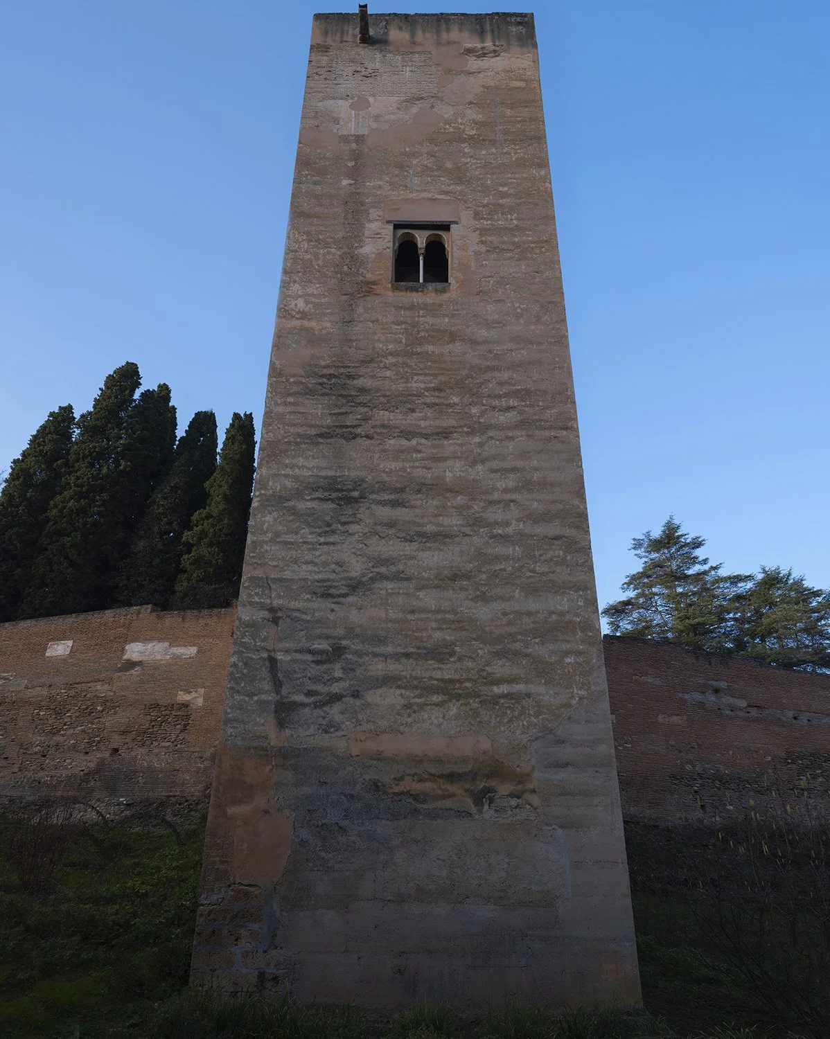 _DSF7481.jpg