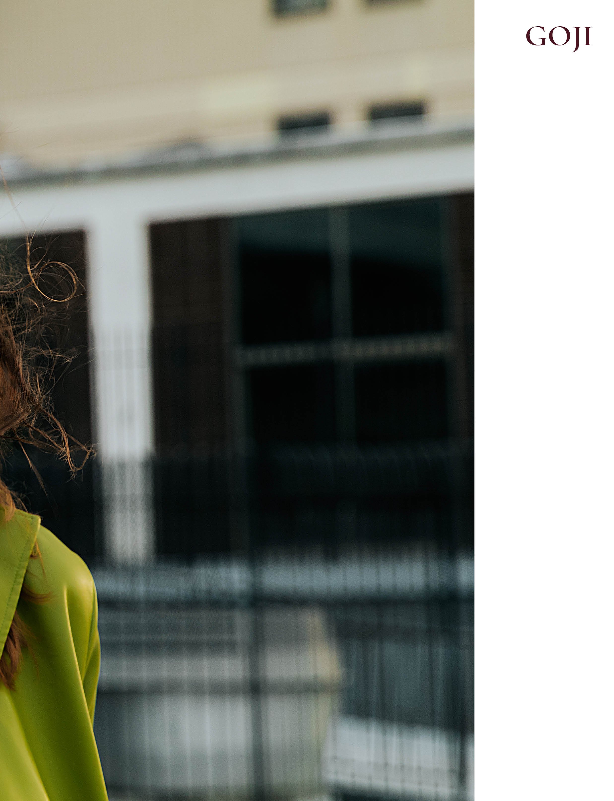 GOJI MAGAZINE No.11 SE 2025_11.jpg