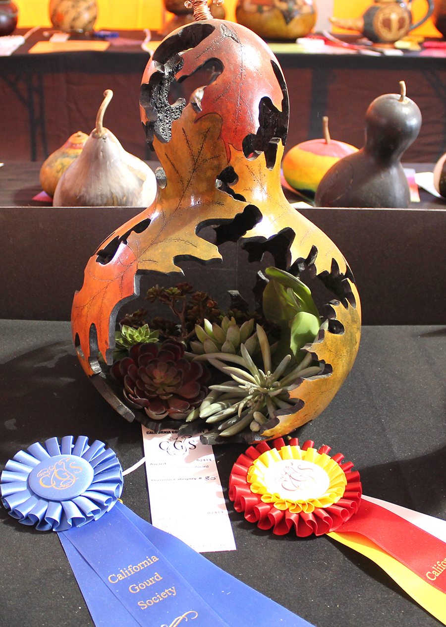 Best of Novice Division_Carol Baker.jpg