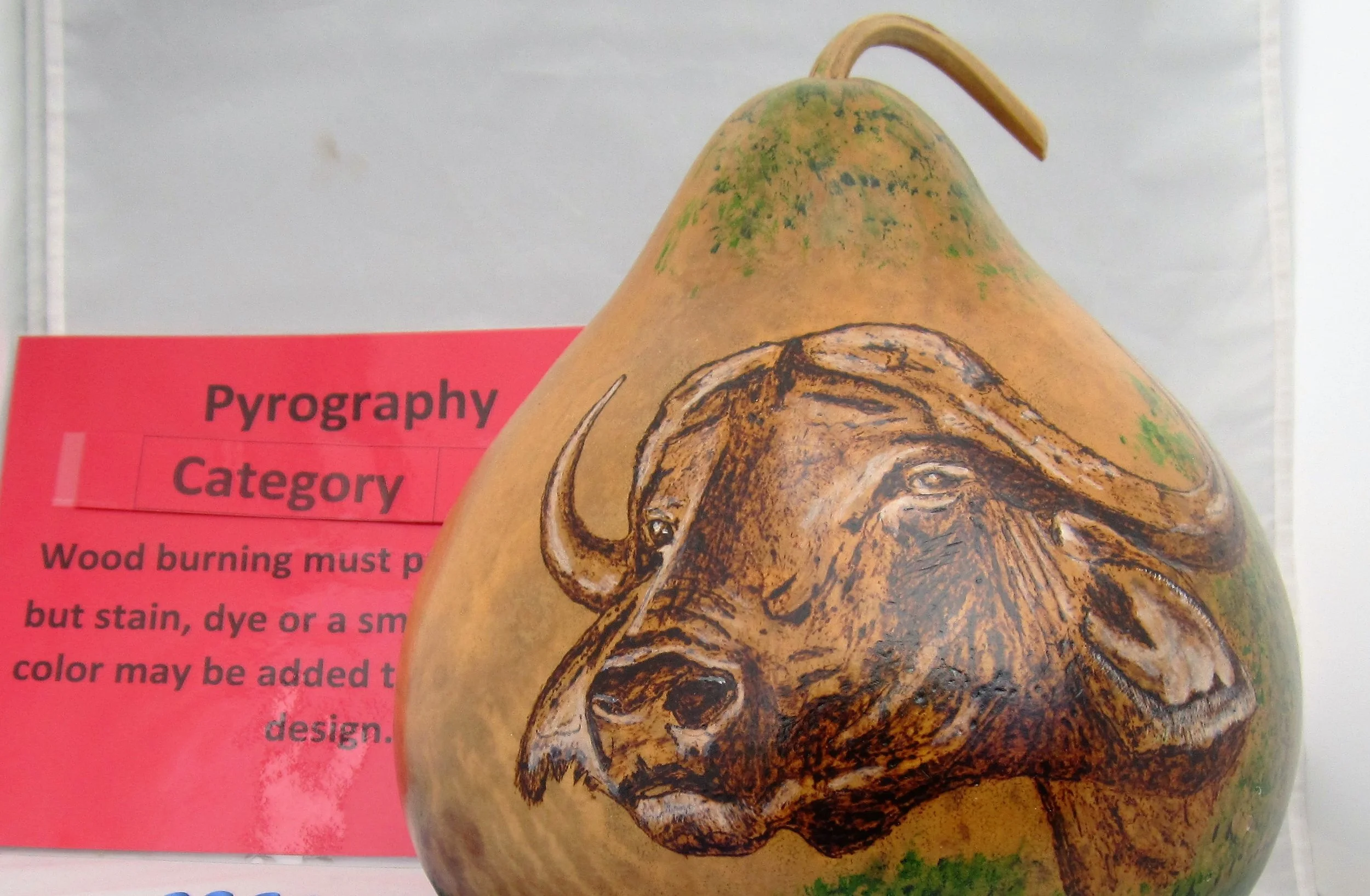 Frank Desimone - Novice - Pyrography - 1st Place