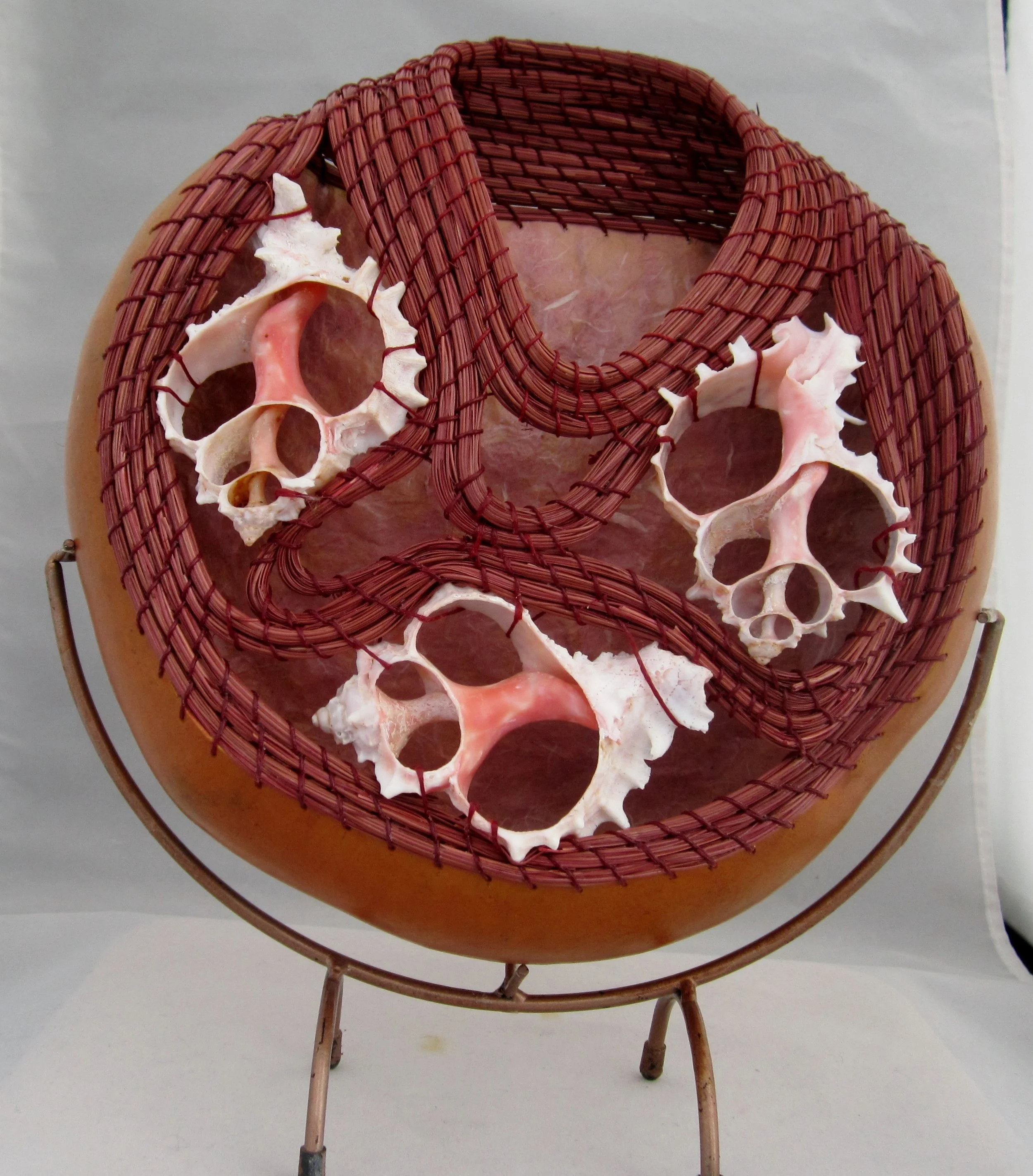 Jodi Divgivan - Intermediate - Weaving - 2nd Place - CGS Special Award