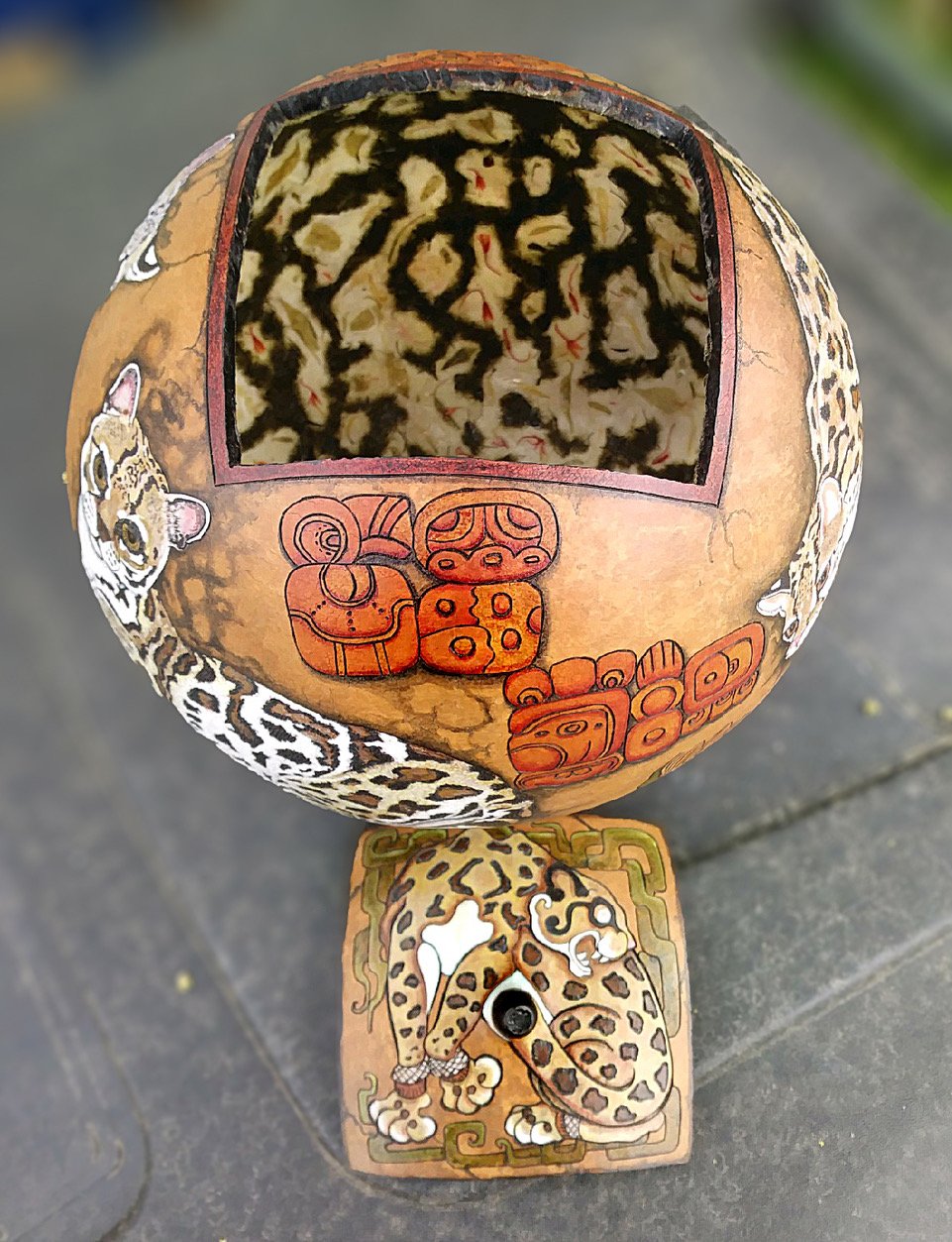 IMG_20230607_142429 copy.jpeg