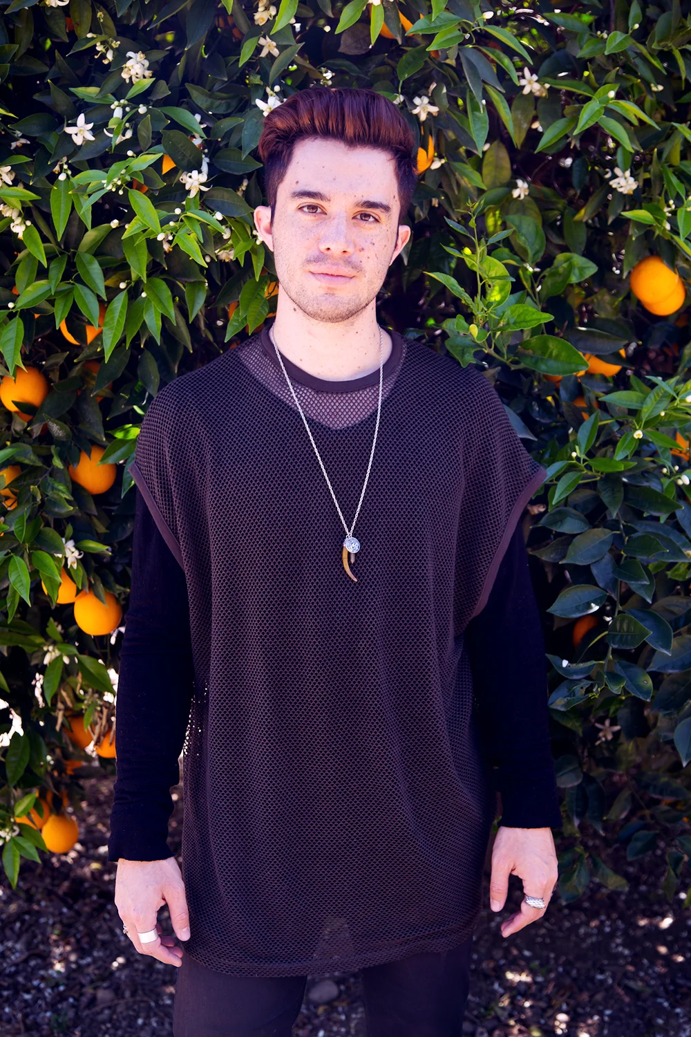 Orange grove