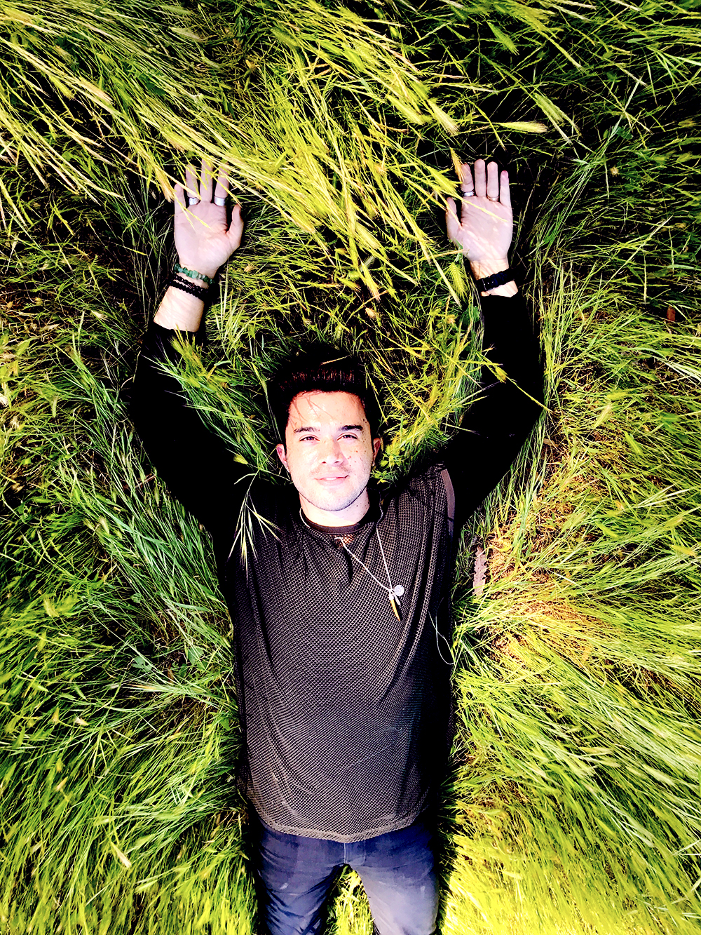 Laying in the meadows