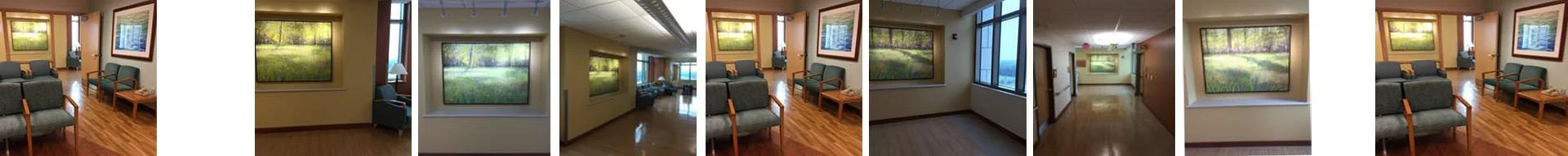 installation view, "Leaves of Grass II" at Baptist South Medical Center, Jacksonville, Florida